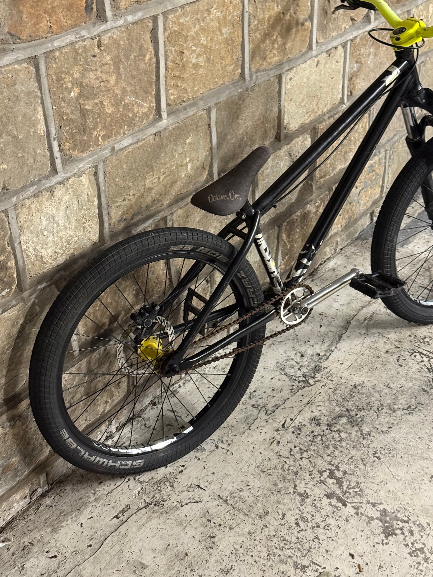 Custom NS Dirt Jump Bike 24”
