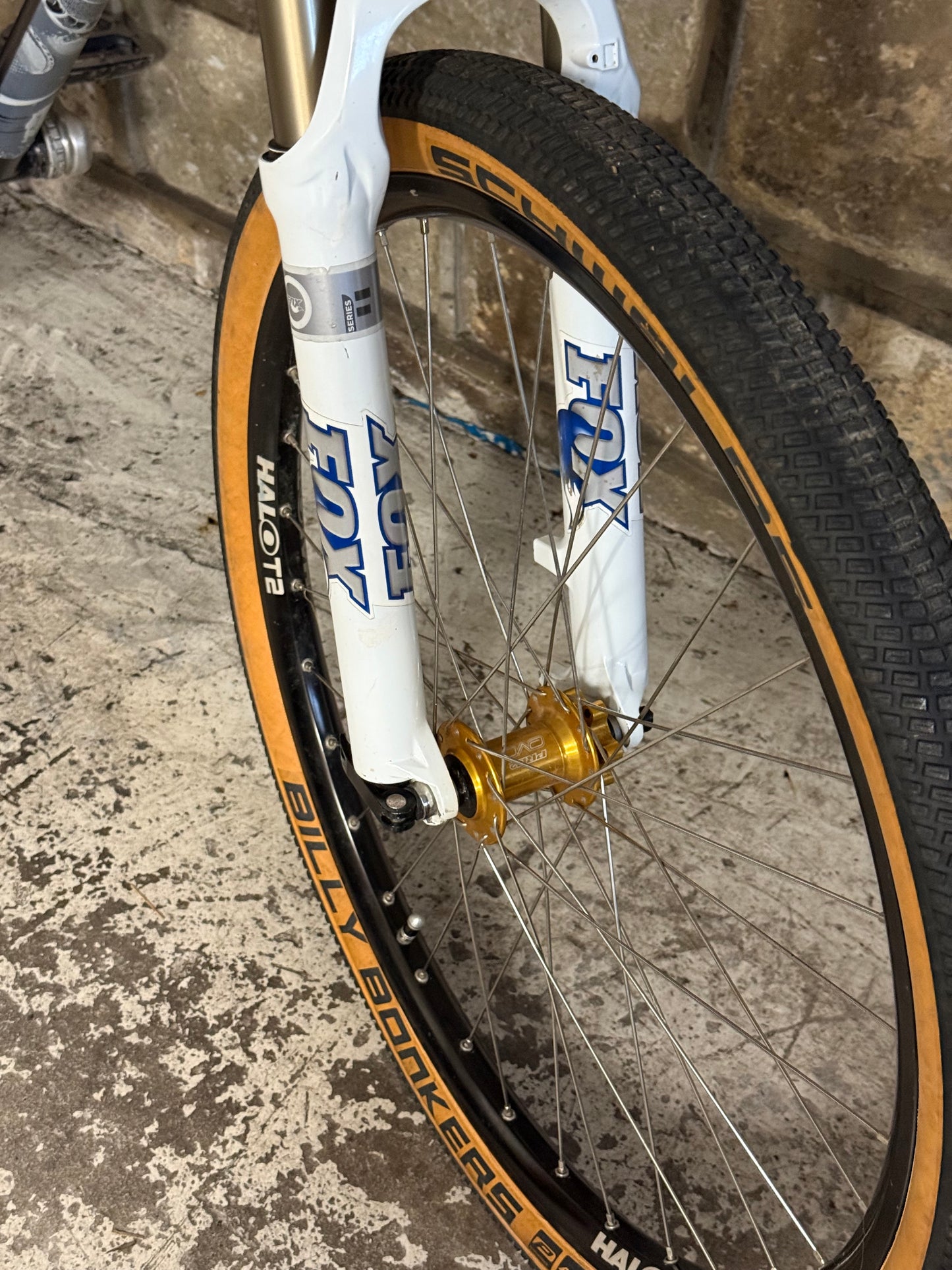 Custom Specialized Dirt Jump Bike 26”