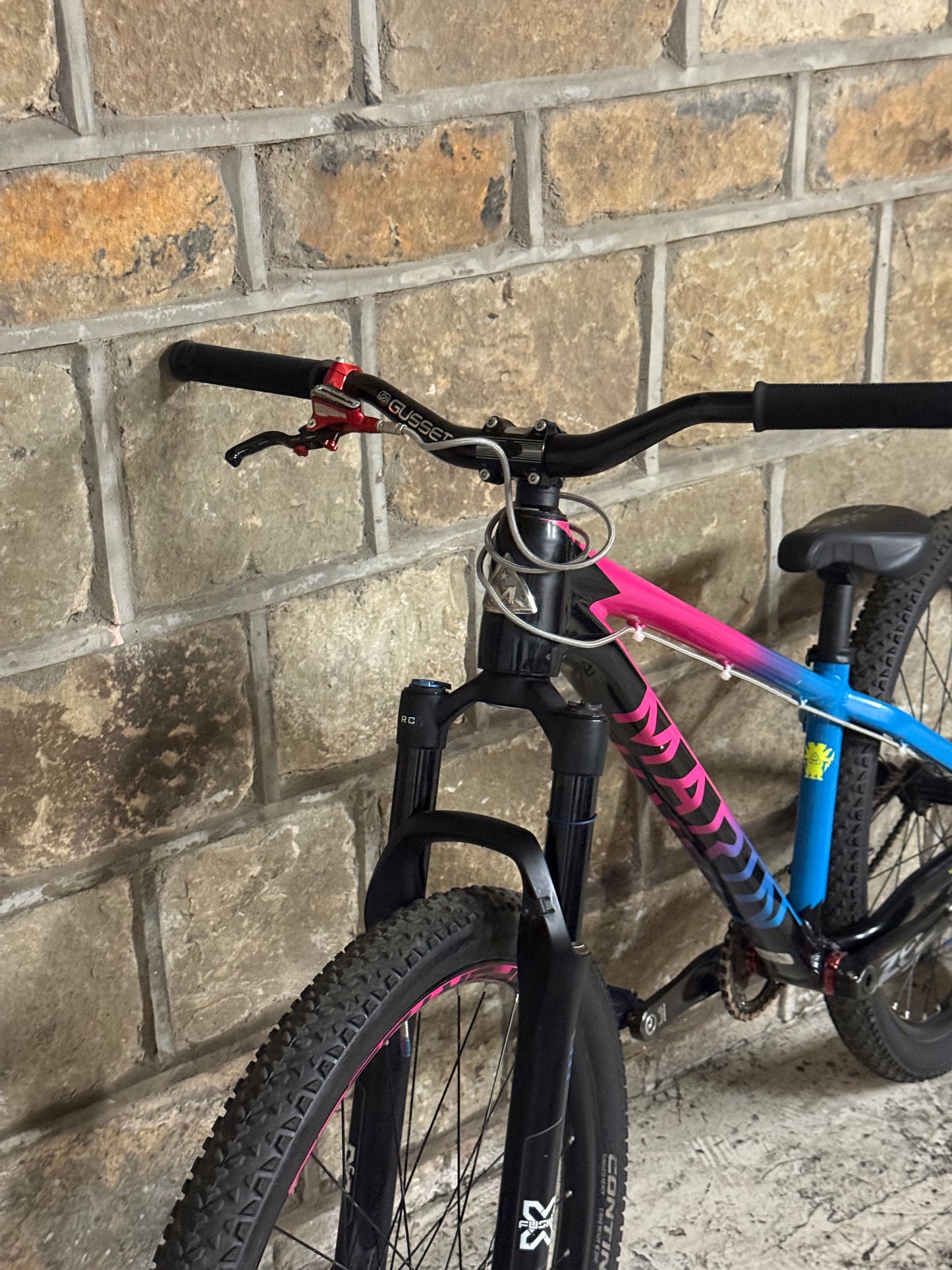 Custom Marin Alcatraz Dirt Jump Bike 26”