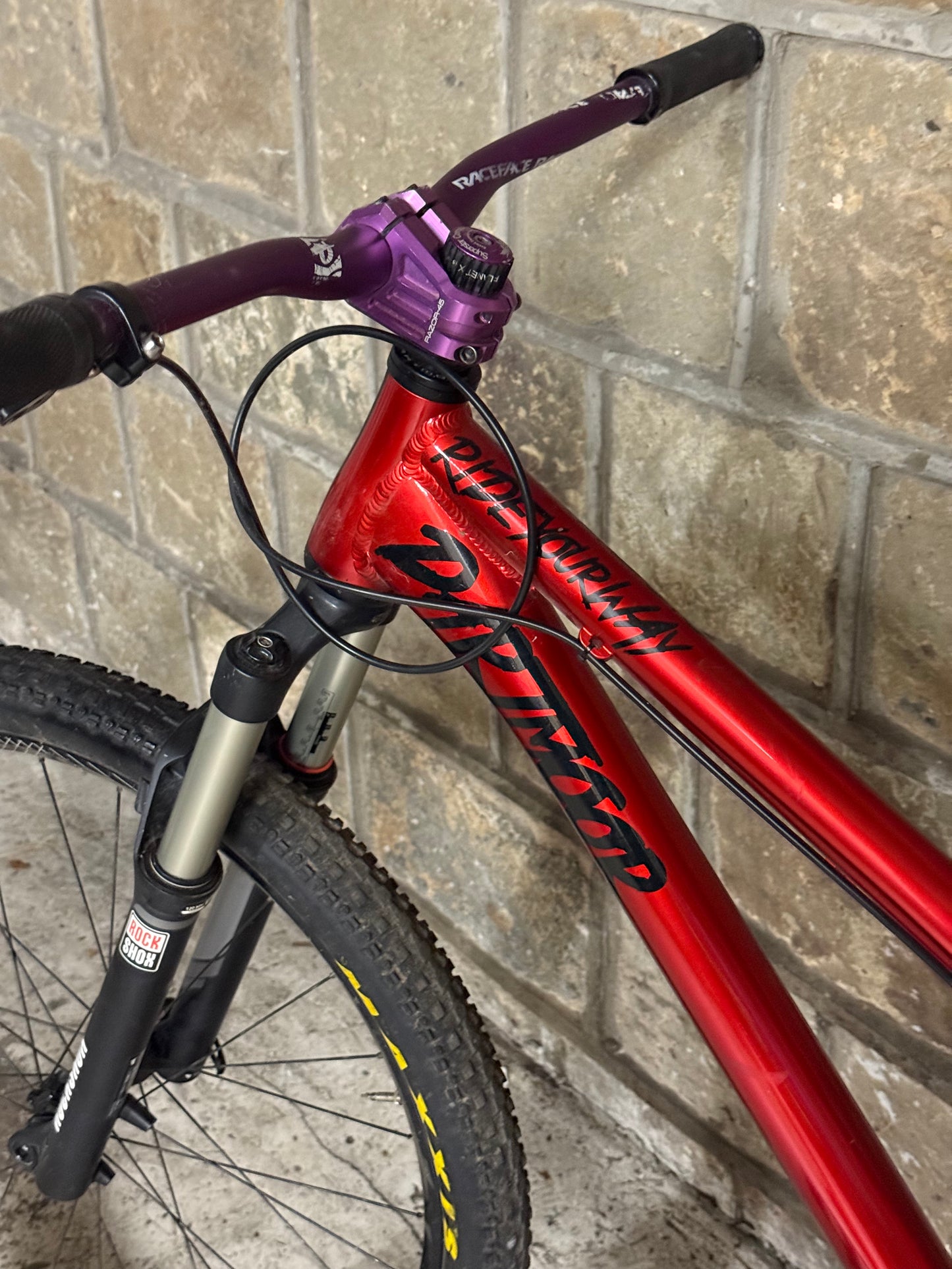 Custom Dartmoor Dirt Jump Bike 26”