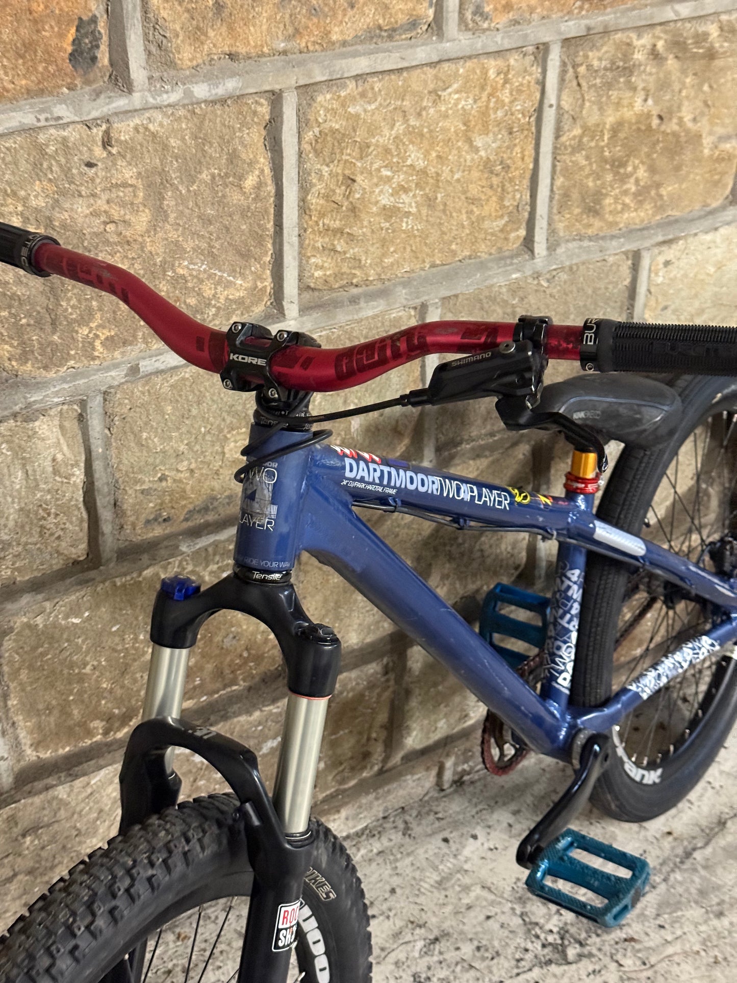 Custom Dartmoor Dirt Jump Bike 24”