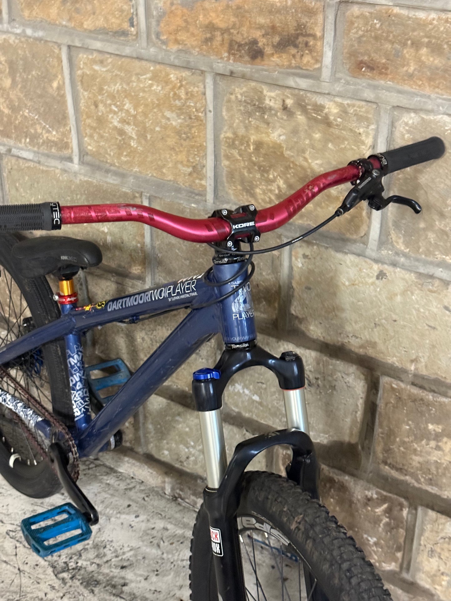 Custom Dartmoor Dirt Jump Bike 24”