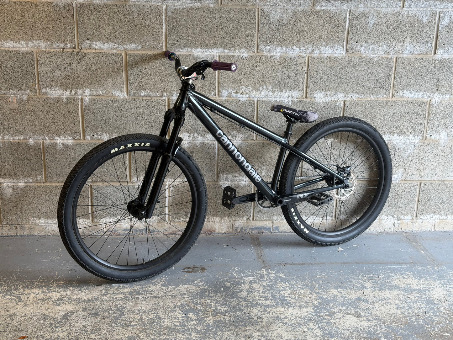Custom Cannondale Dave Dirt Jump Bike 26”