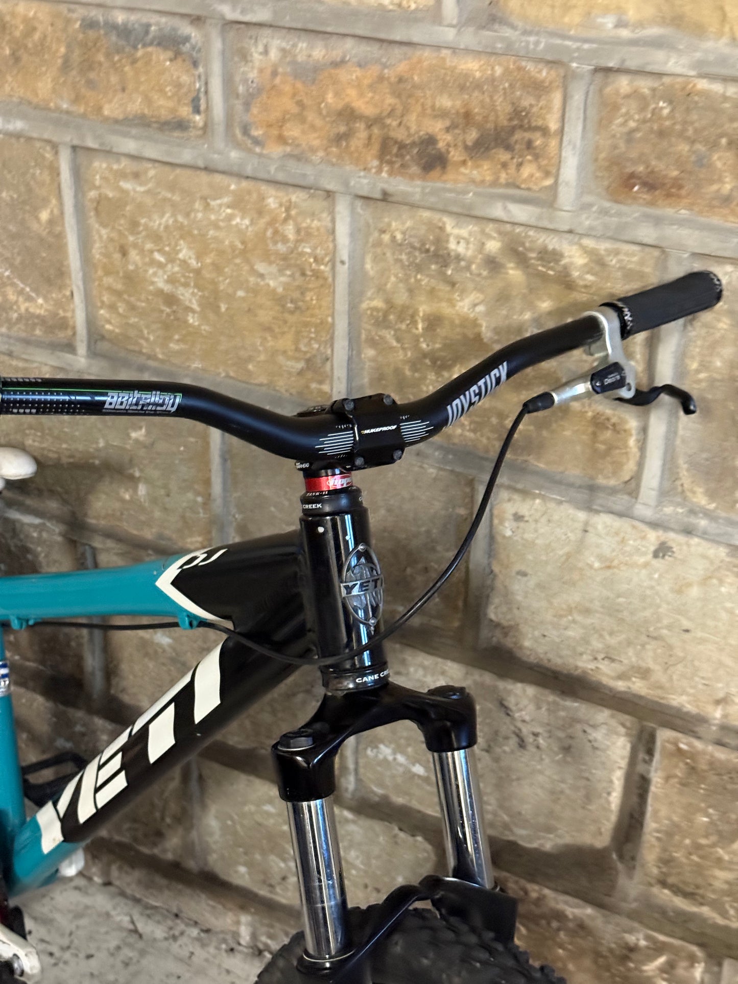 Custom Yeti Dirt Jump Bike 26”