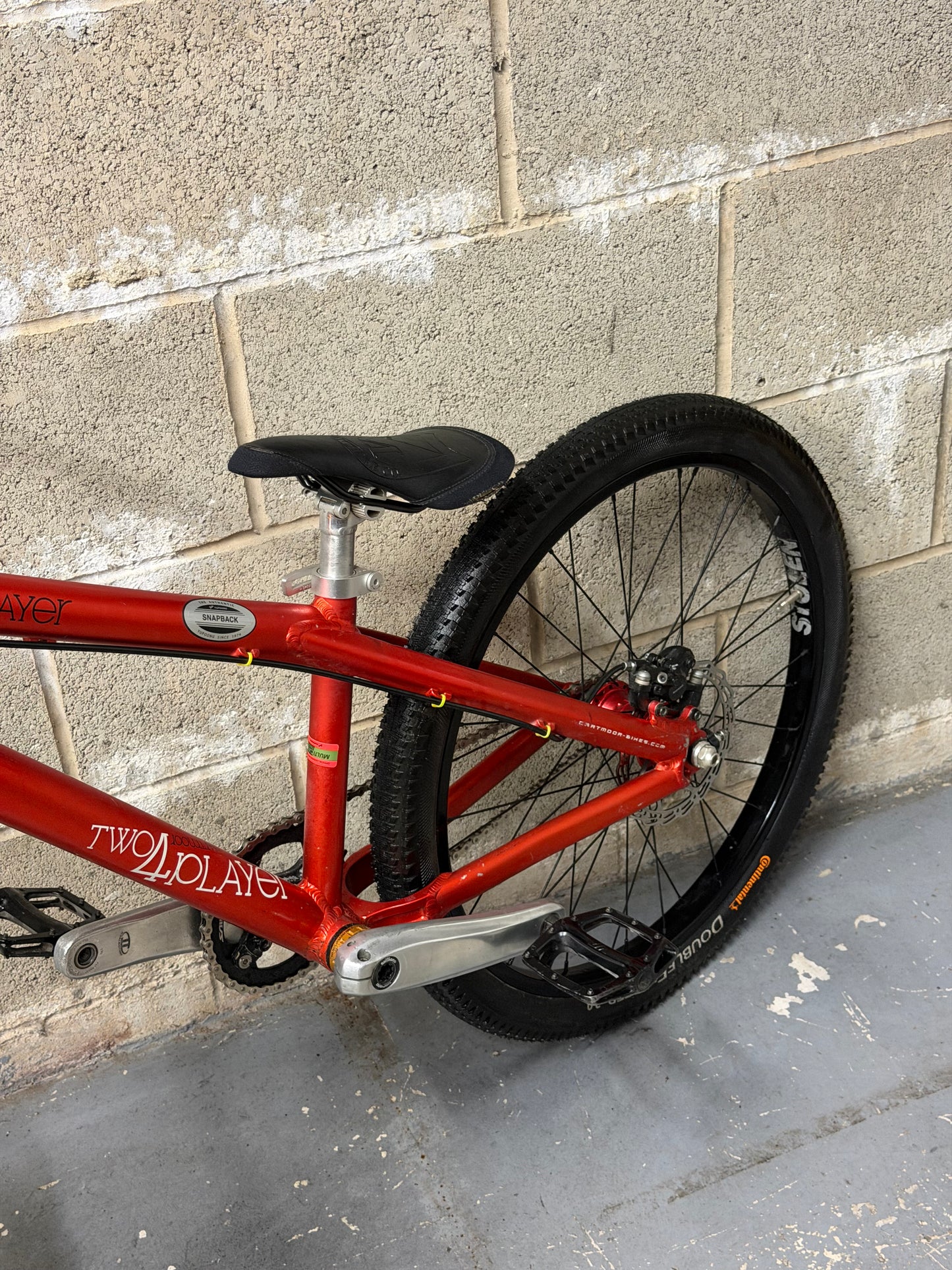 Custom Dartmoor Dirt Jump Bike 24”