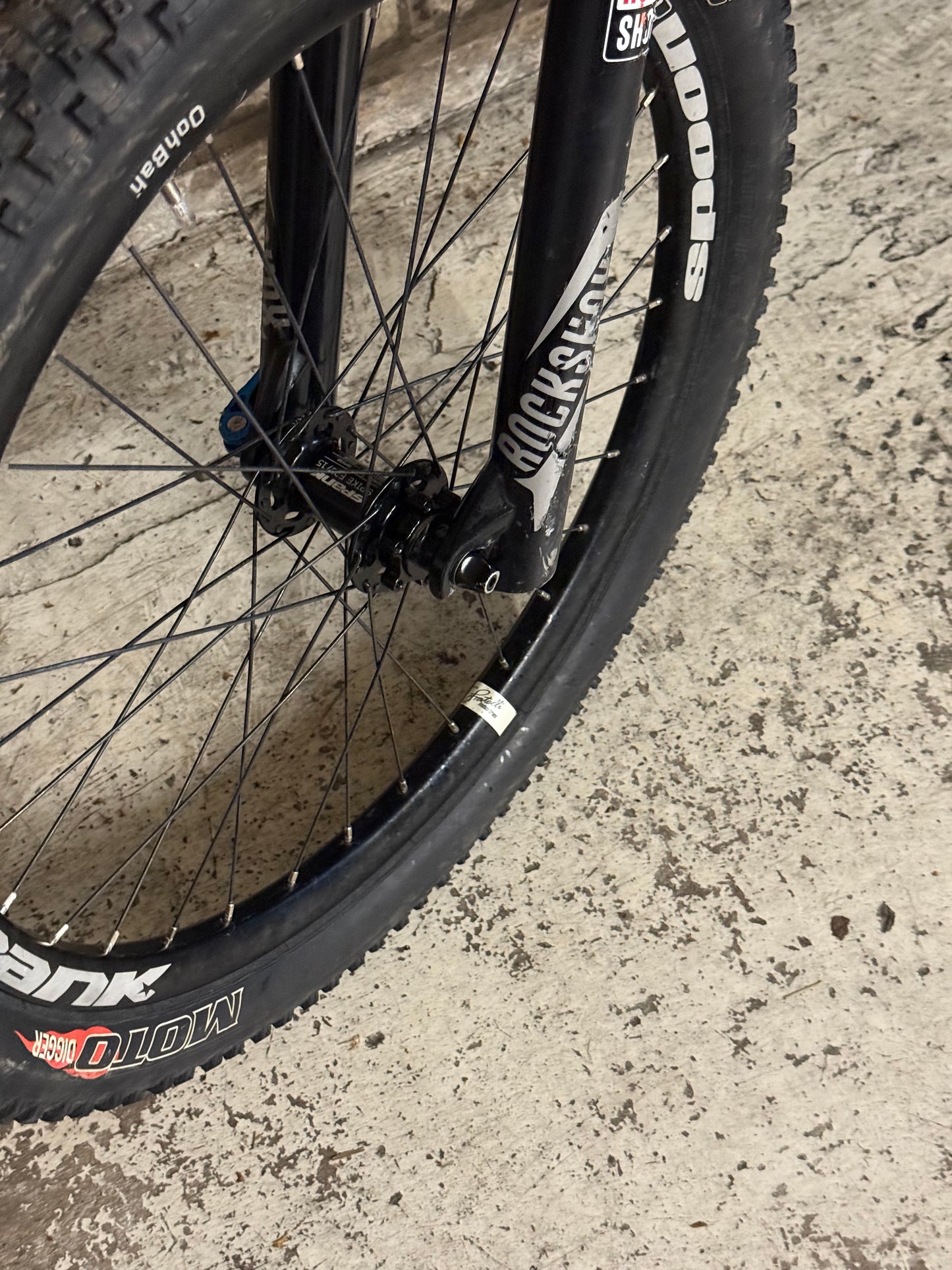 Custom Dartmoor Dirt Jump Bike 24”