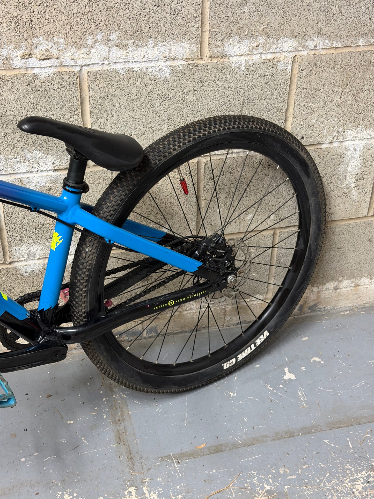Custom Marin Alcatraz Dirt Jump Bike 26”