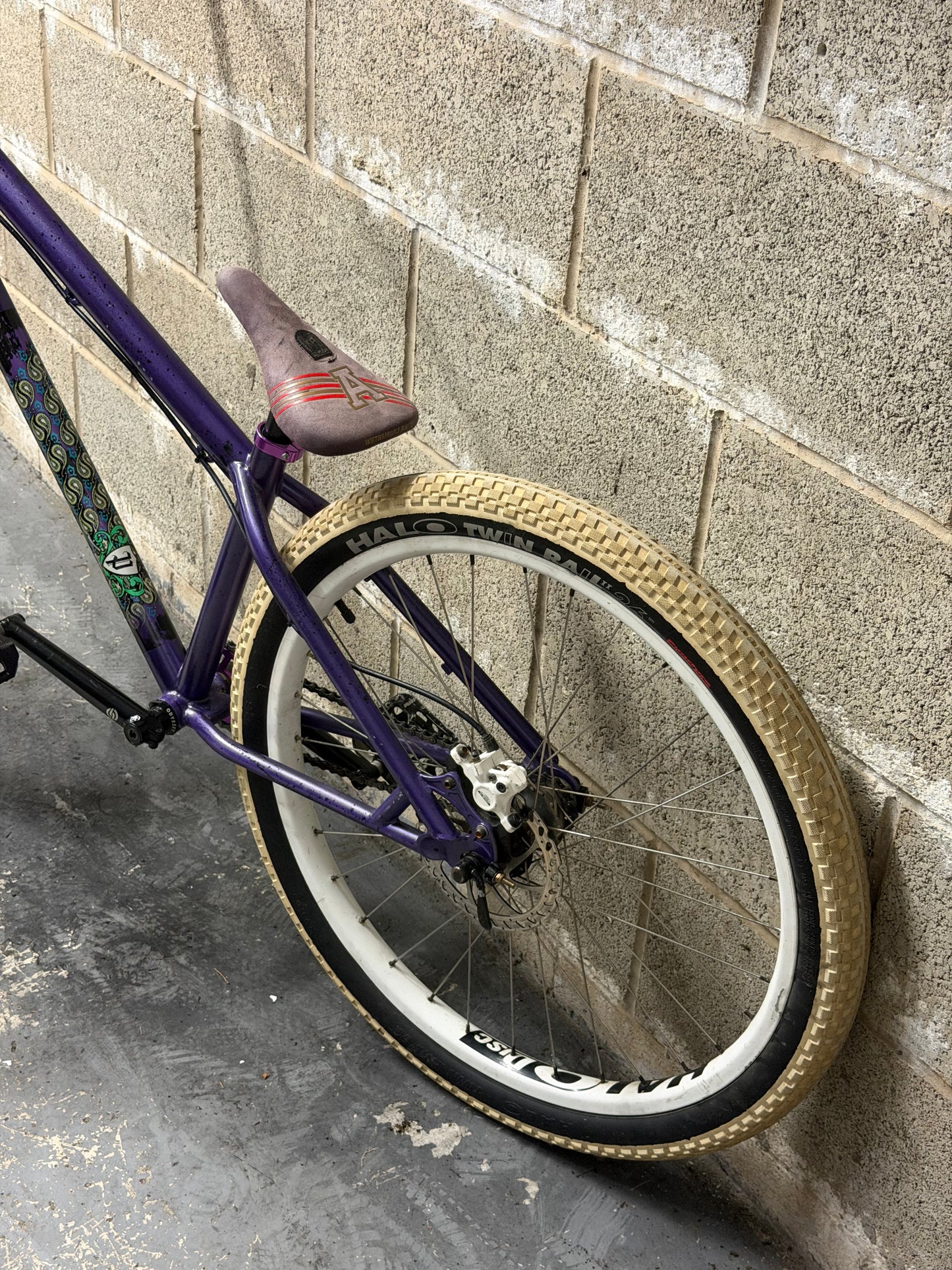 Custom Specialized Dirt Jump Bike 26”