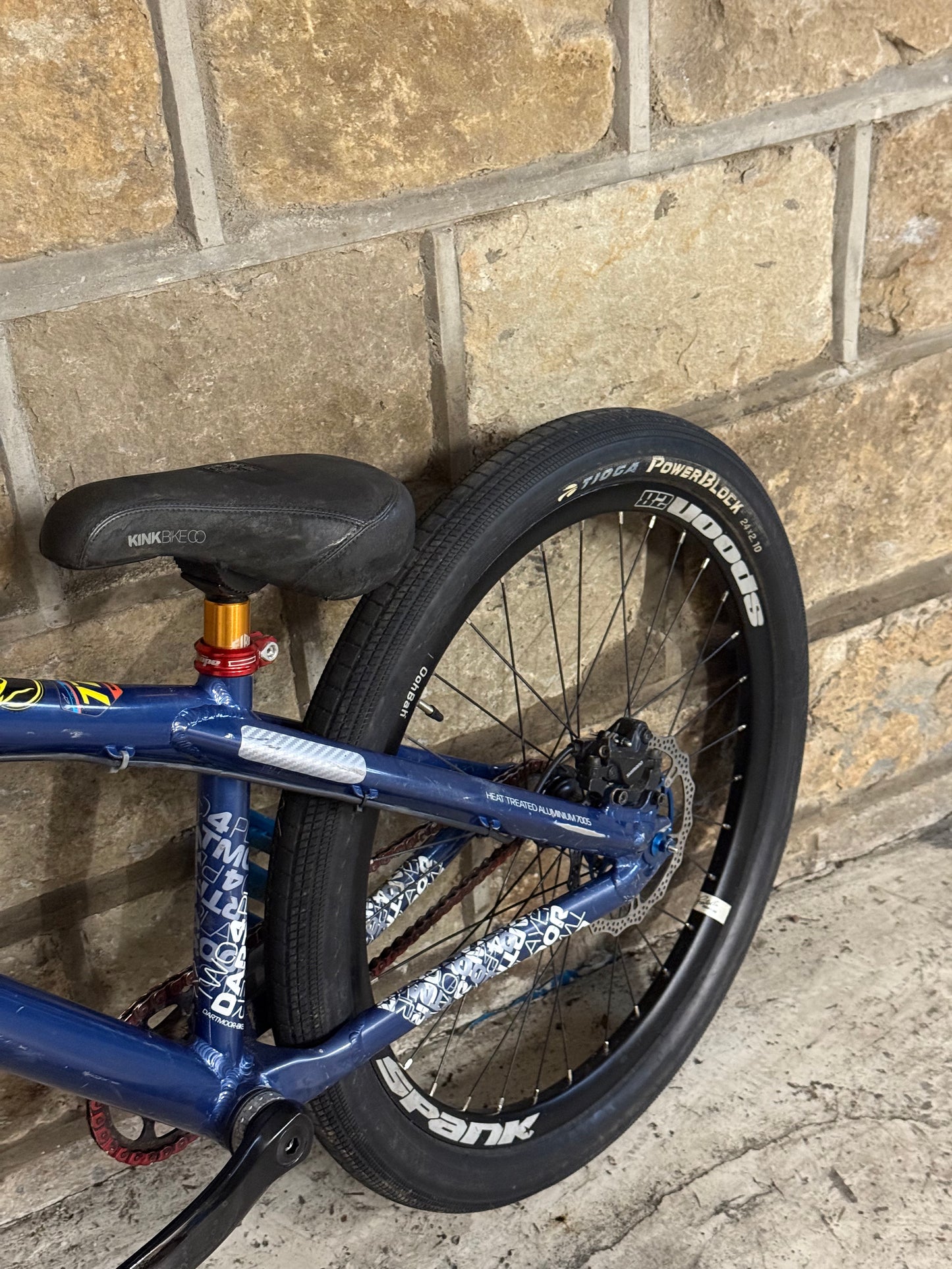 Custom Dartmoor Dirt Jump Bike 24”