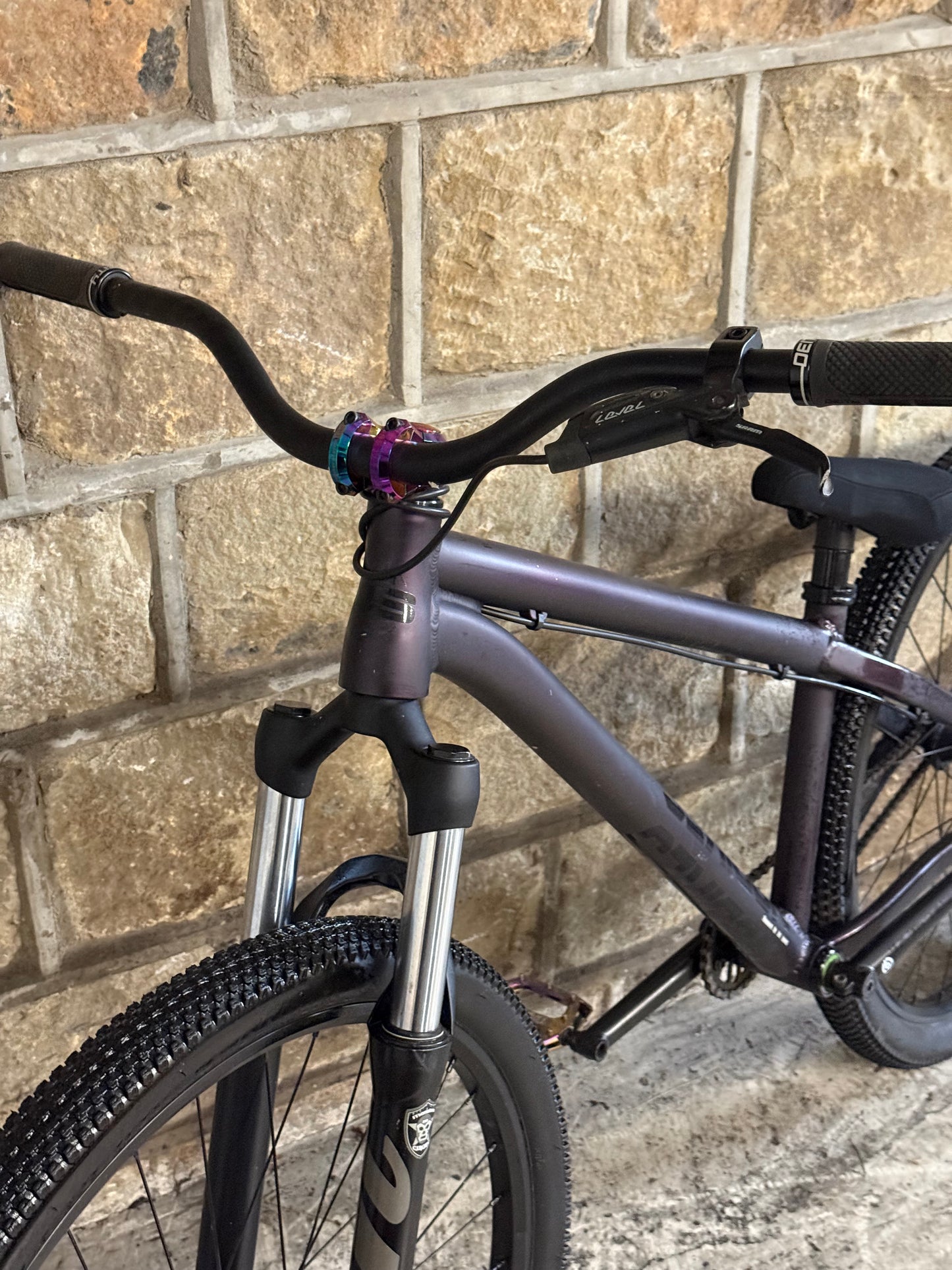 Custom NS Movement Dirt Jump Bike 26”