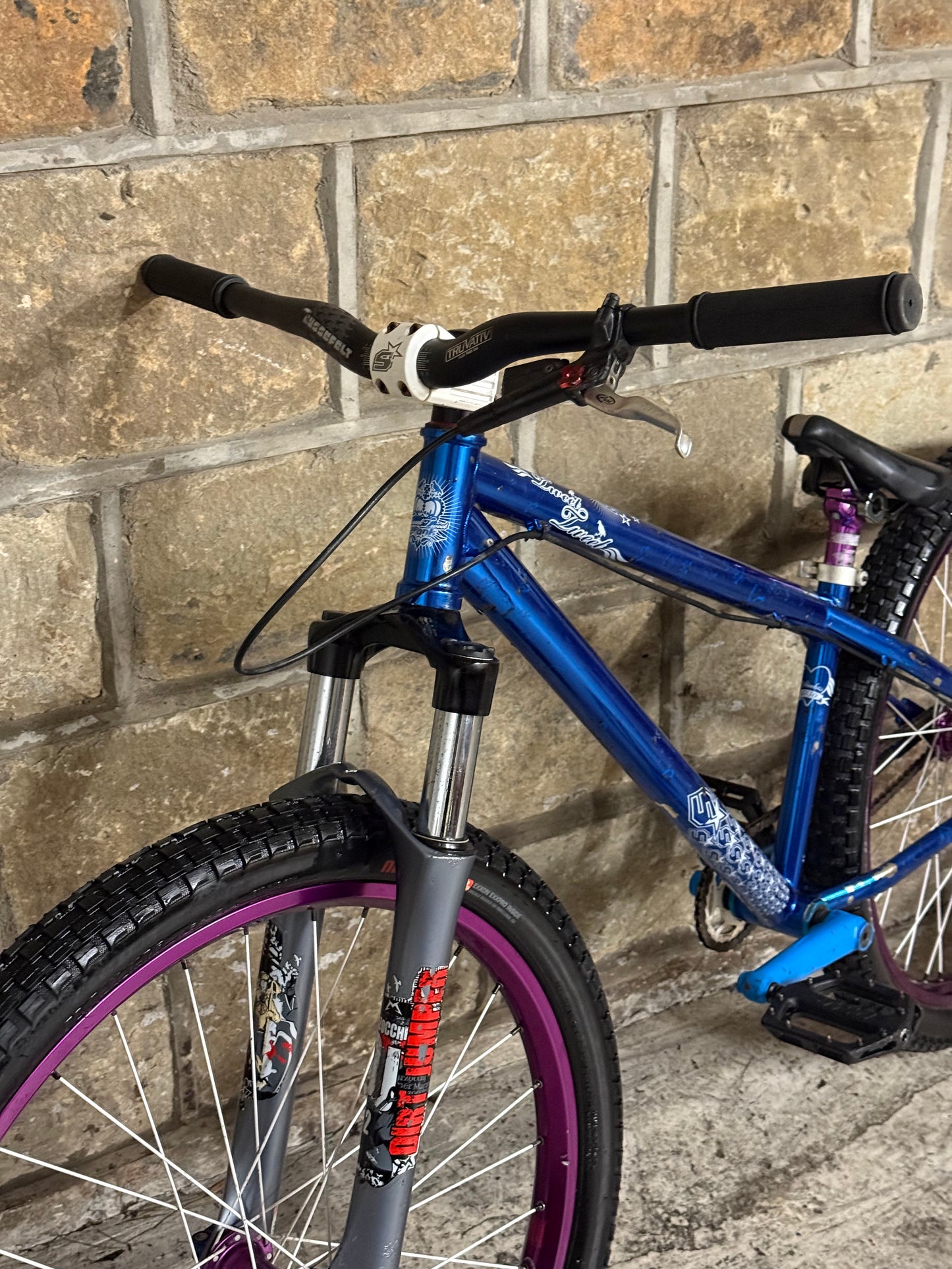 Custom Spank Dirt Jump Bike 26”