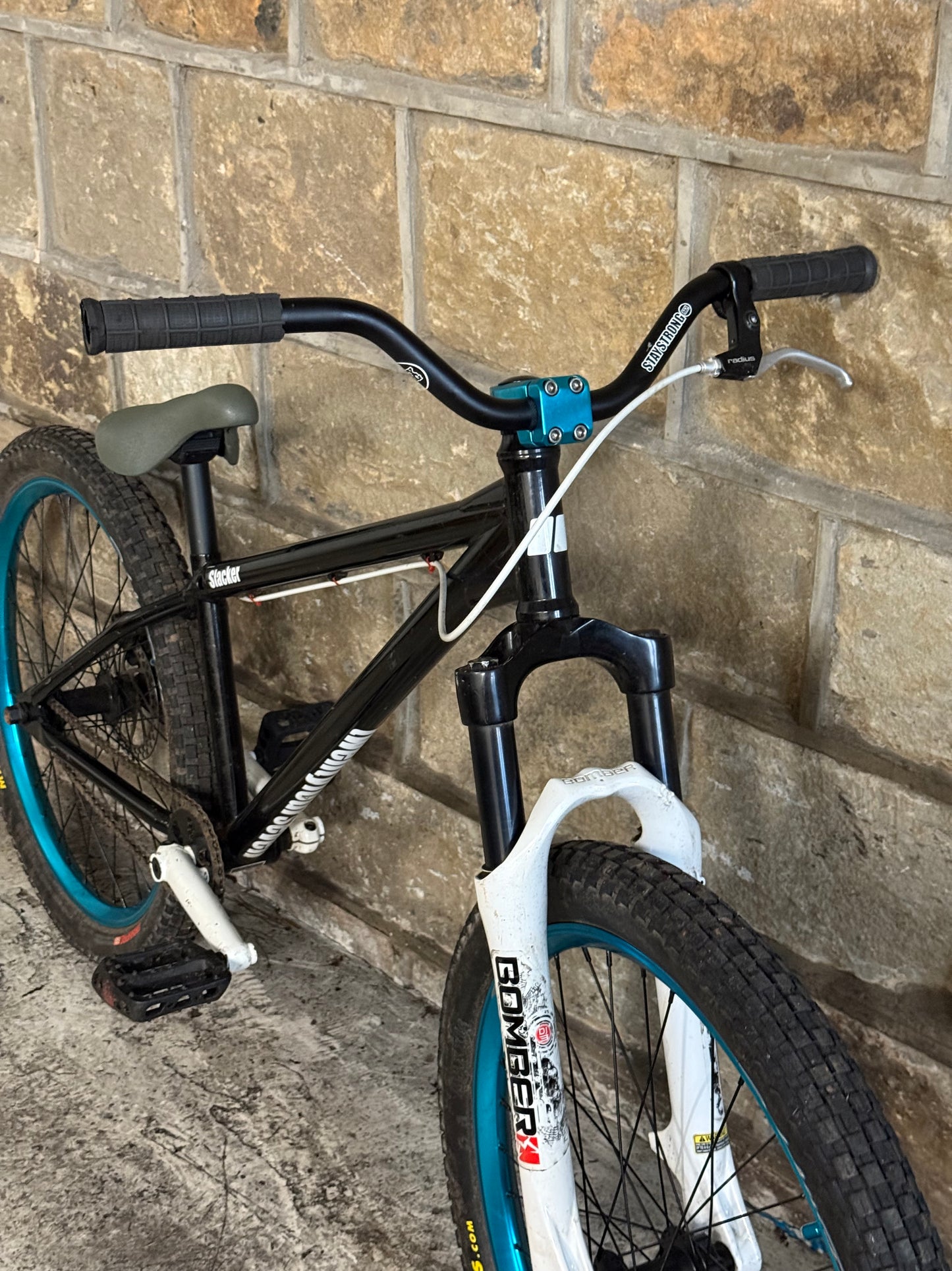Custom 24 Seven Dirt Jump Bike 24”