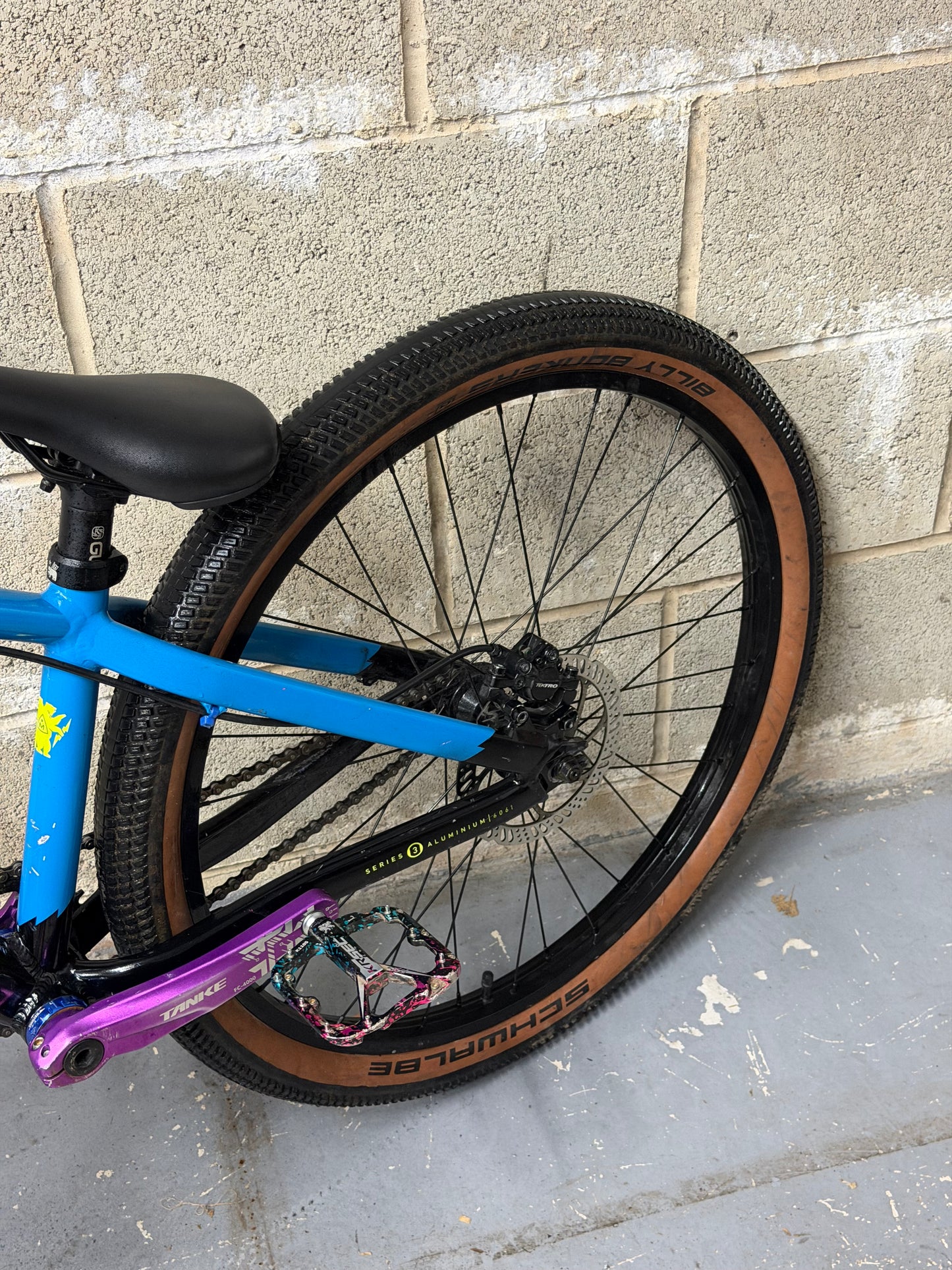 Custom Marin Alcatraz Dirt Jump Bike 26”