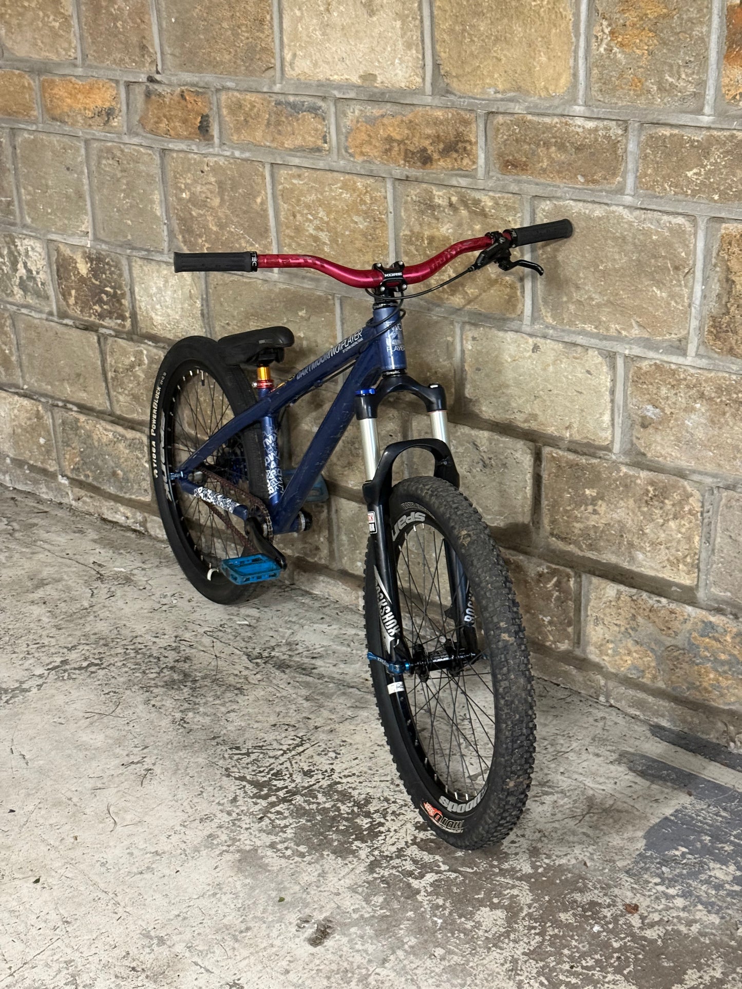 Custom Dartmoor Dirt Jump Bike 24”