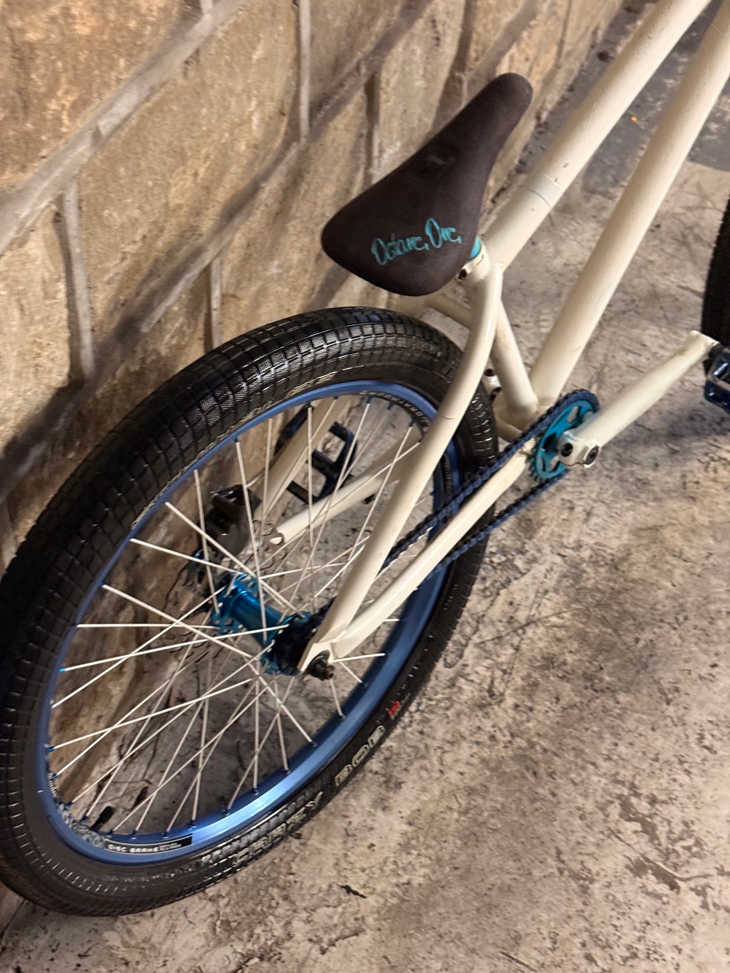 Custom Octane One Dirt Jump Bike 24”