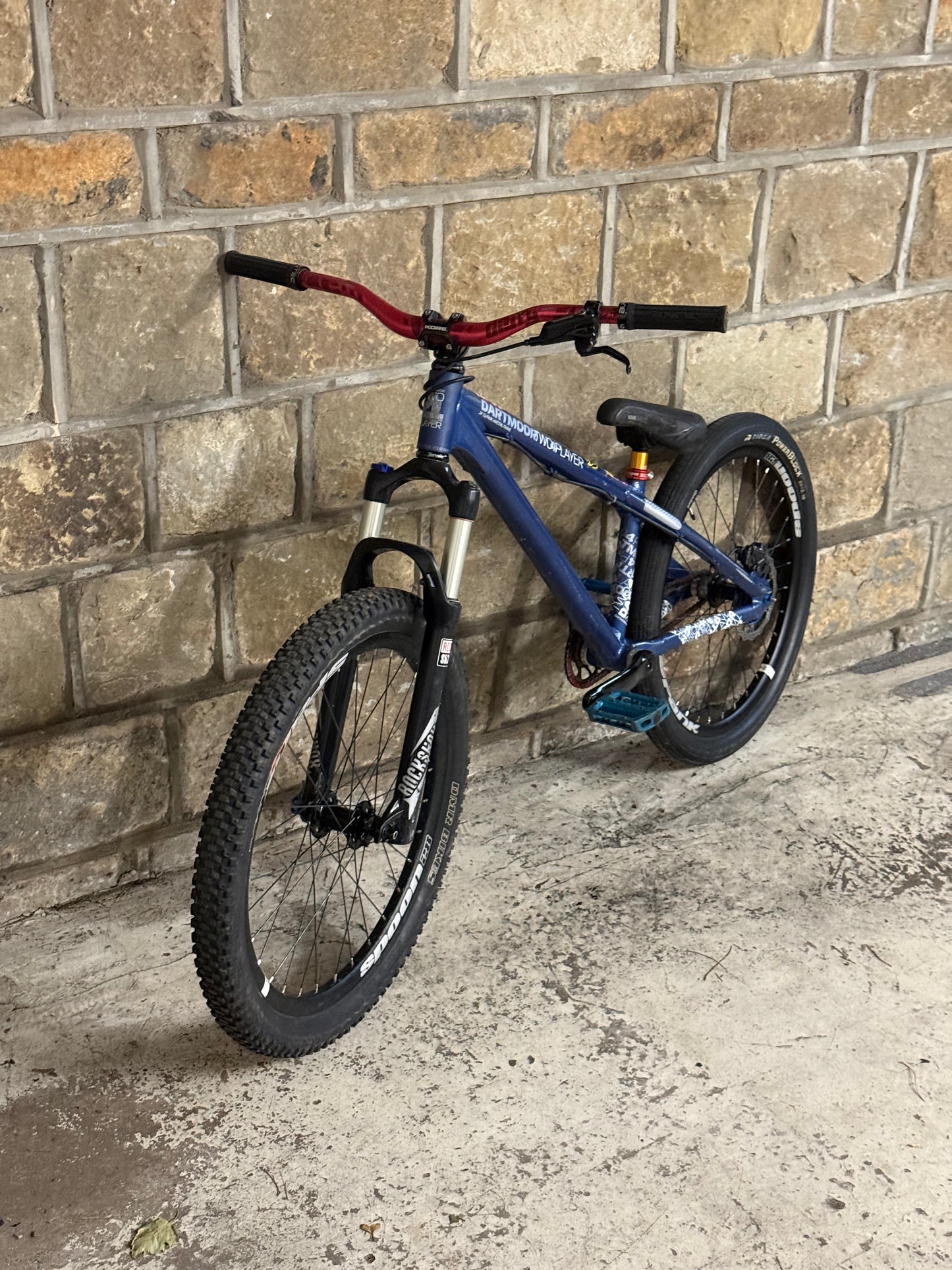 Custom Dartmoor Dirt Jump Bike 24”