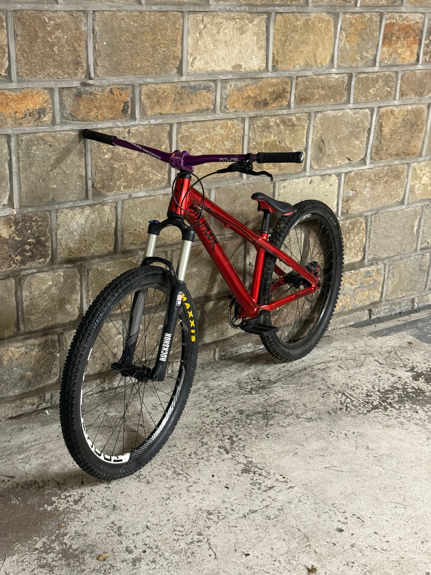 Custom Dartmoor Dirt Jump Bike 26”