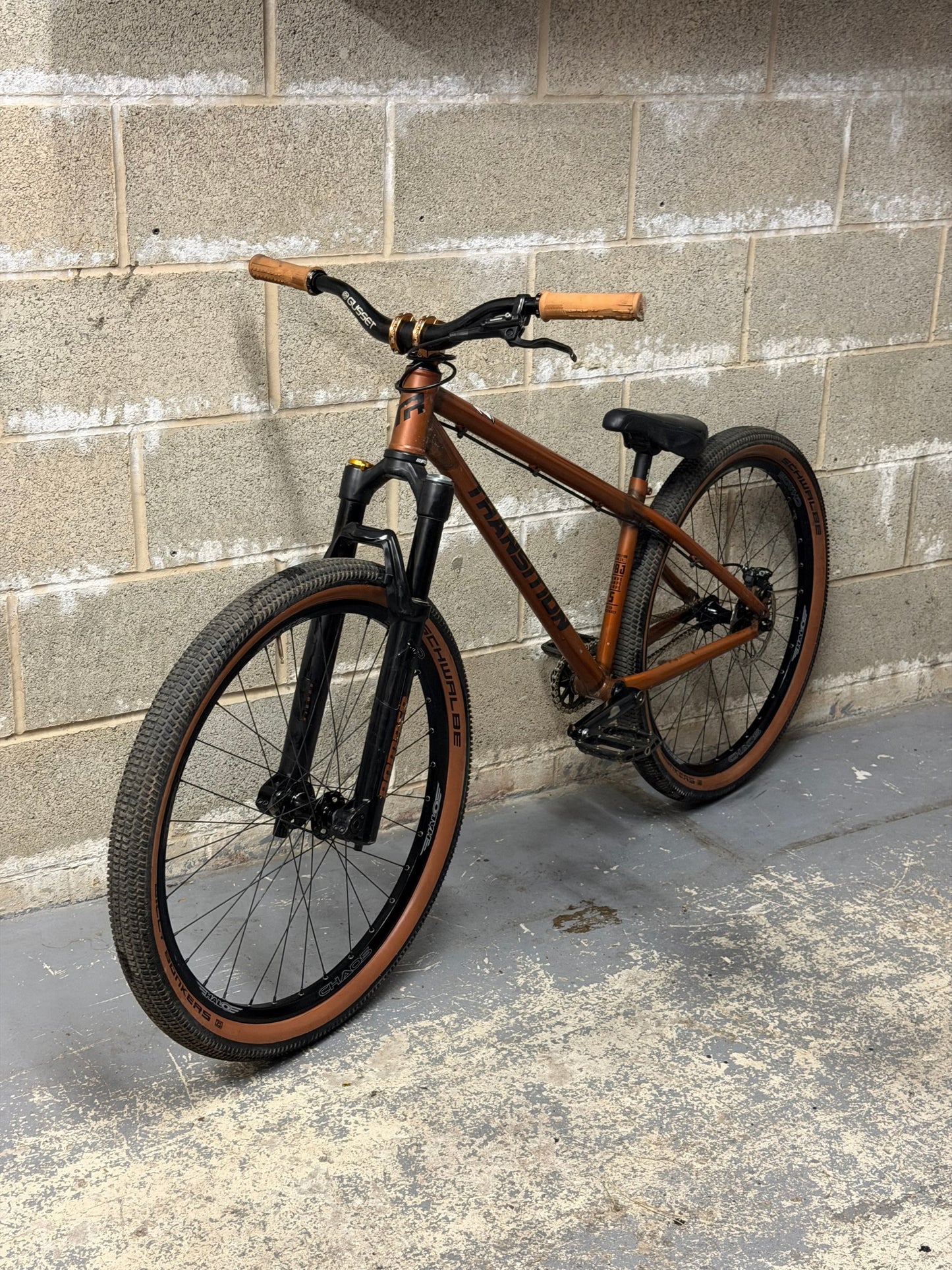 Custom Transition PBJ Dirt Jump Bike 26”