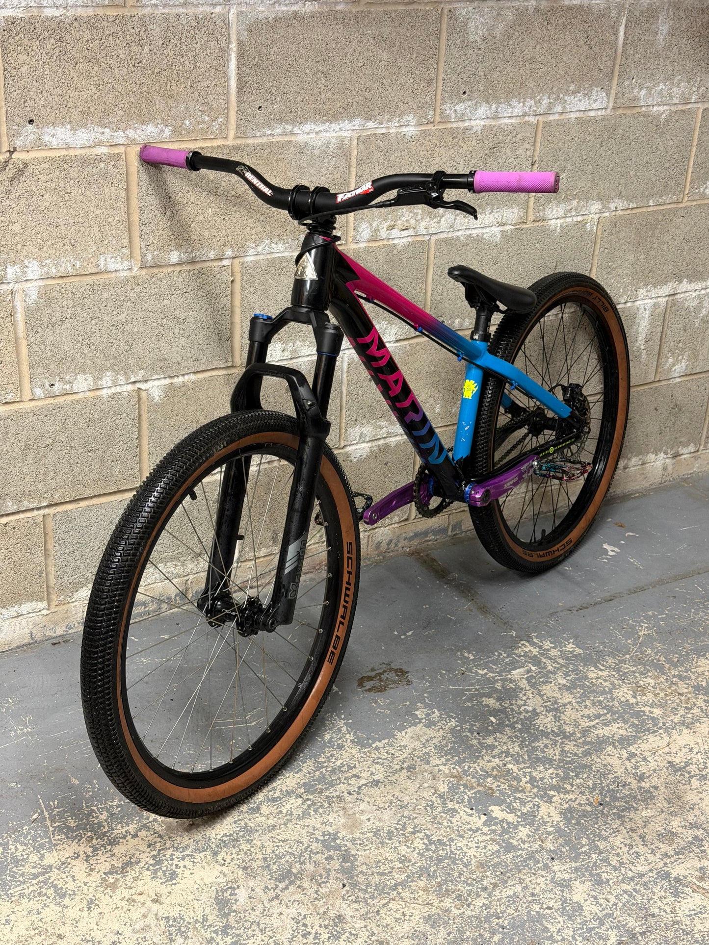 Custom Marin Alcatraz Dirt Jump Bike 26”