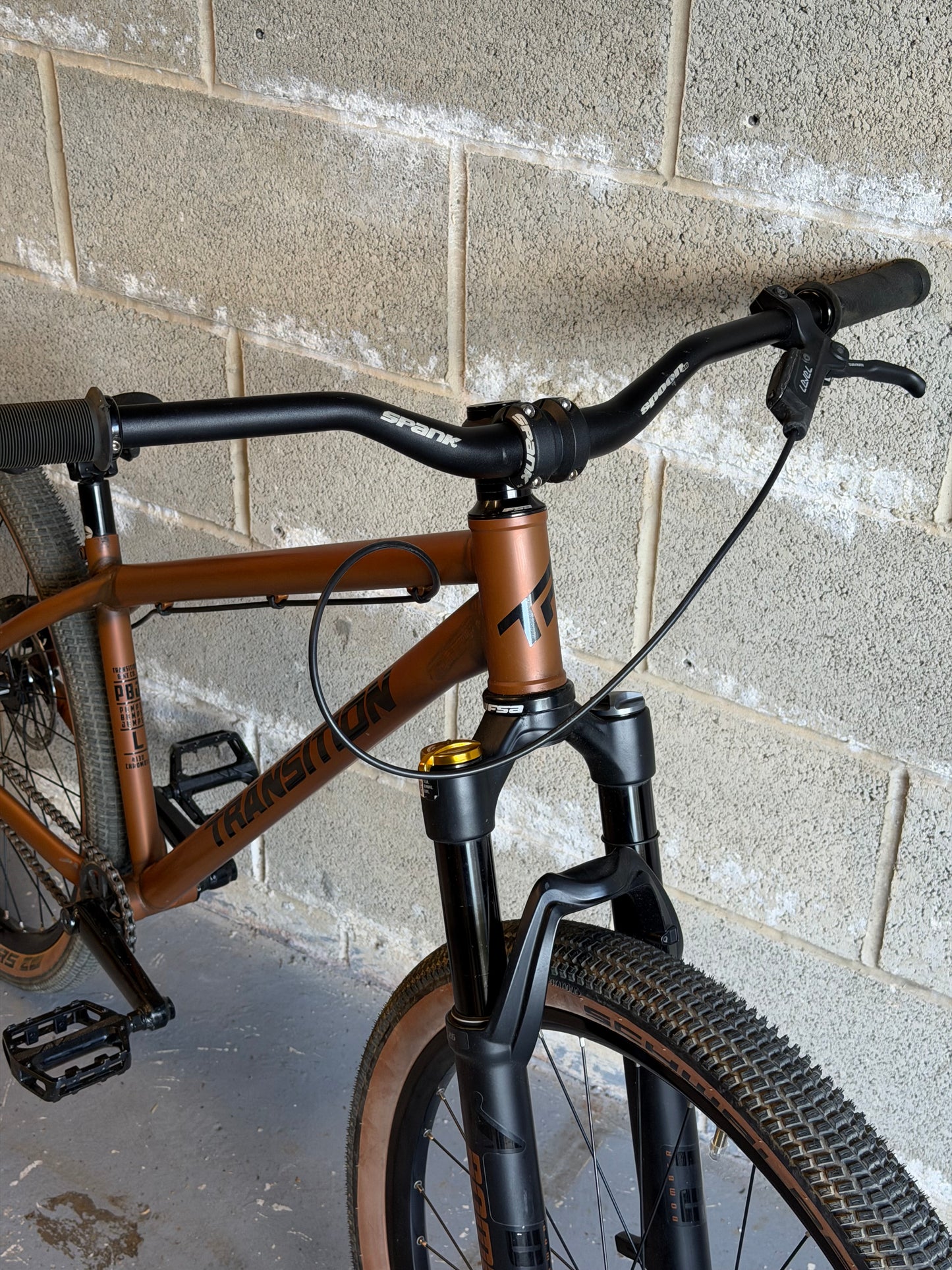Custom Transition PBJ Dirt Jump Bike 26”