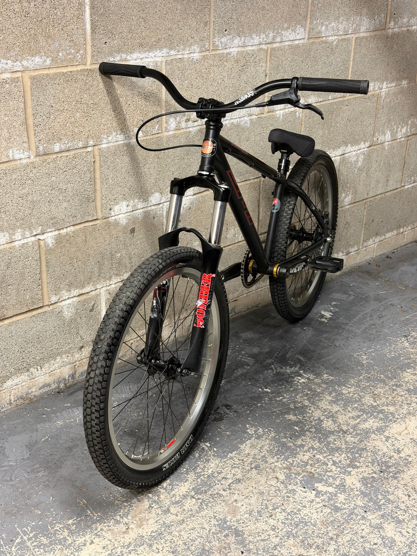 Custom DMR Dirt Jump Bike 24”