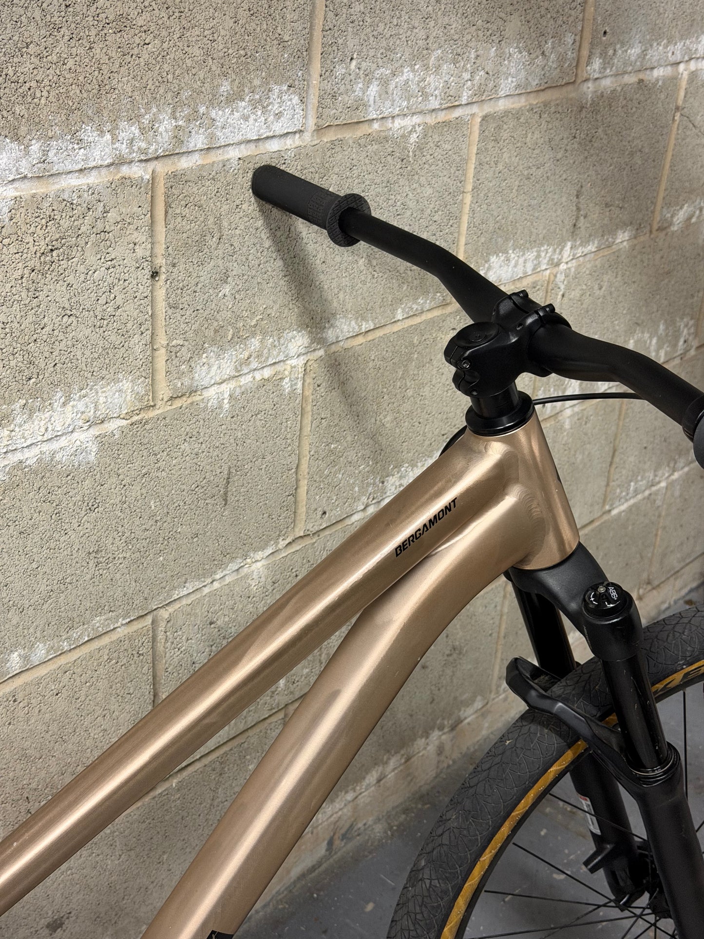 Custom Bergamont Dirt Jump Bike 26”