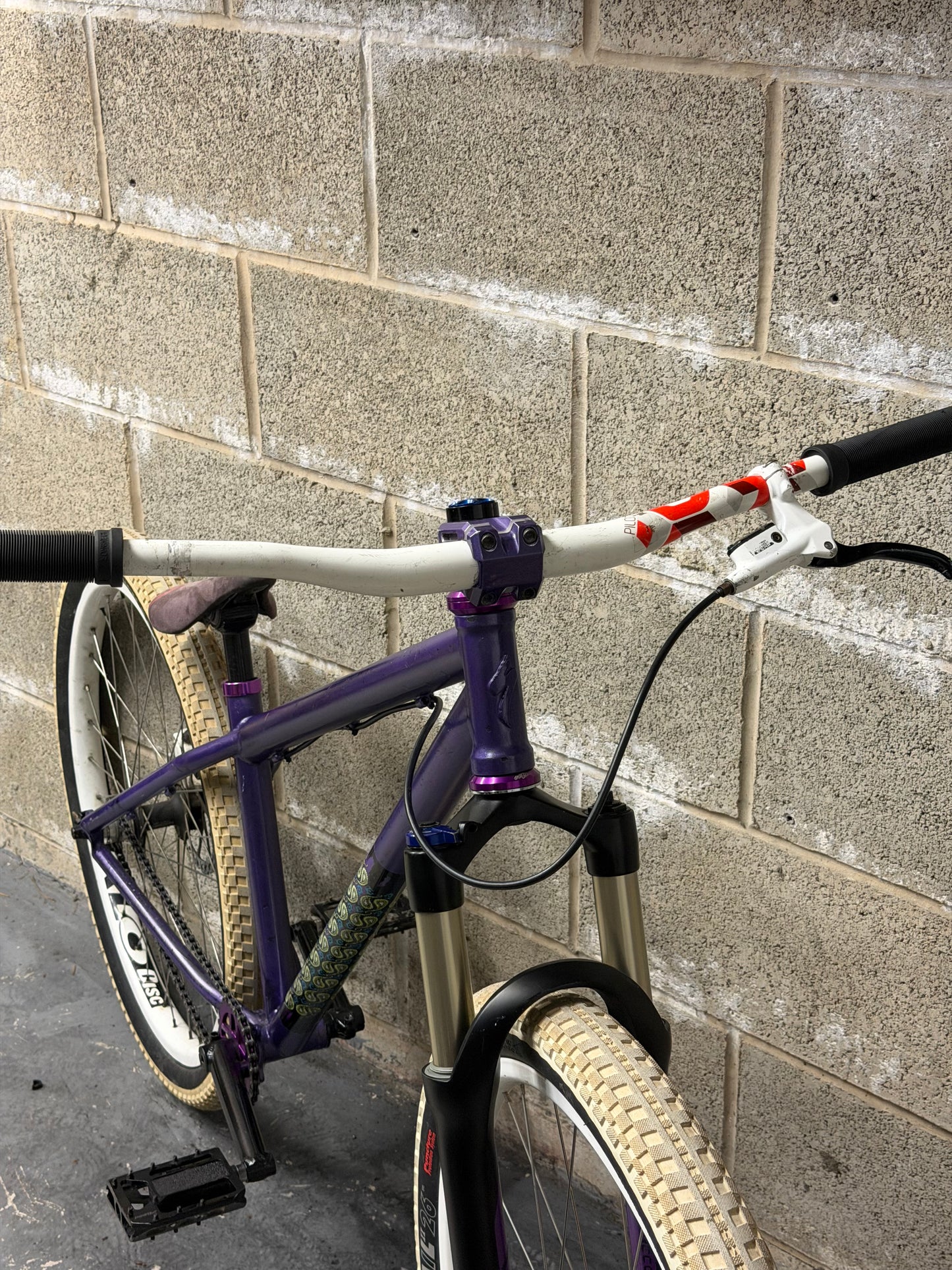 Custom Specialized Dirt Jump Bike 26”