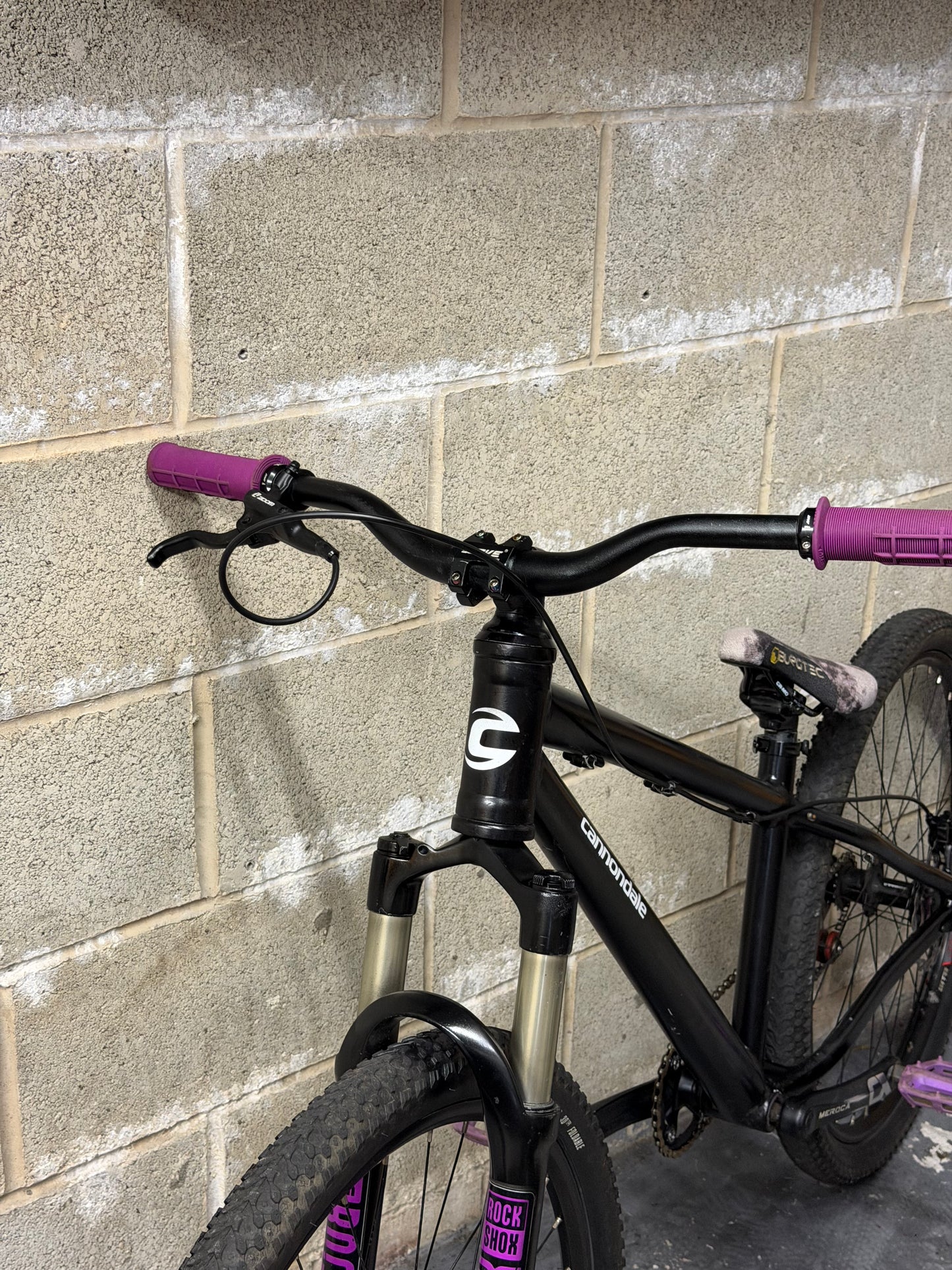 Custom Cannondale Dirt Jump Bike 26”