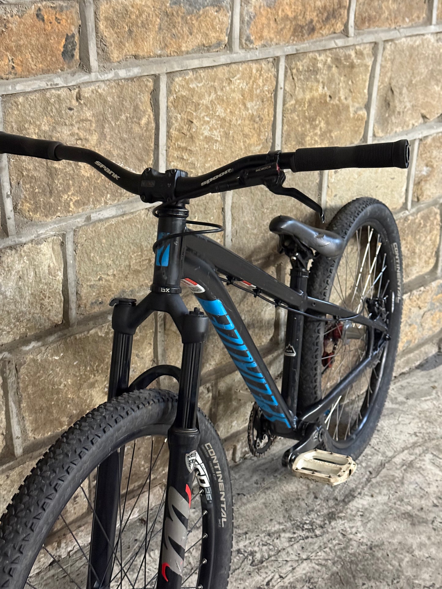 Custom Specialized Dirt Jump Bike 26”