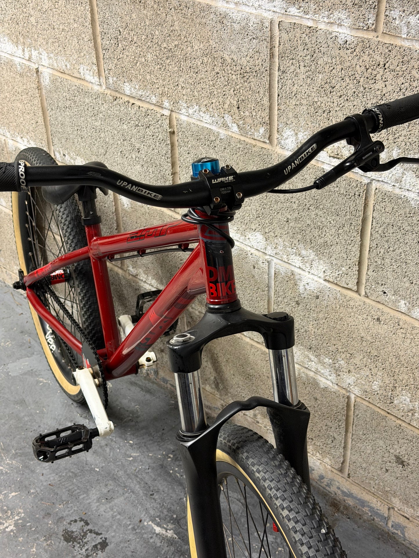 Custom DMR Dirt Jump Bike 24”