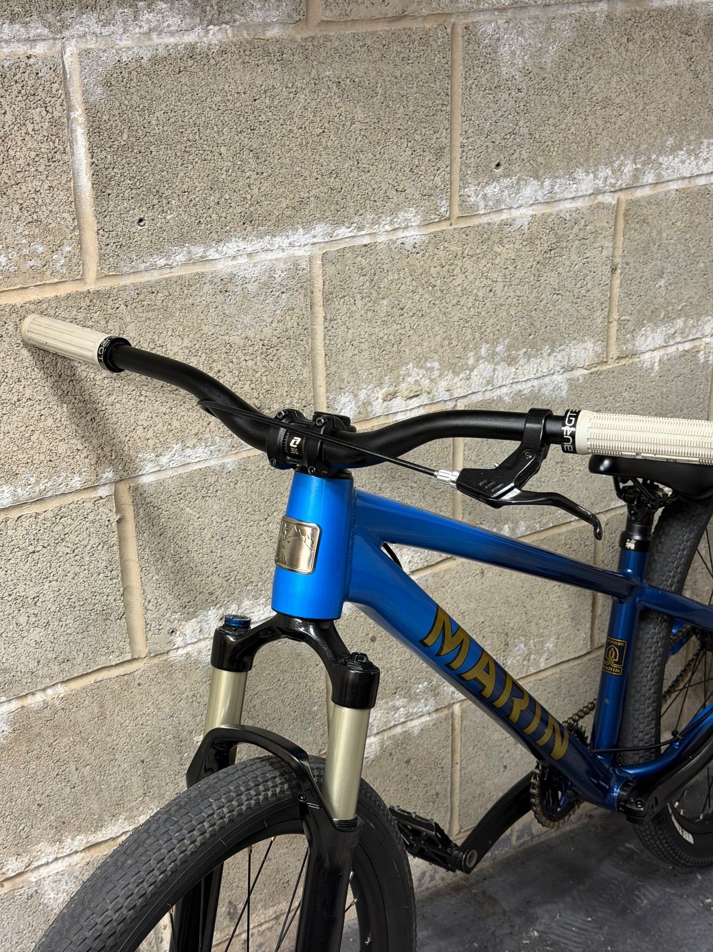 Custom Marin Alcatraz Dirt Jump Bike 26”