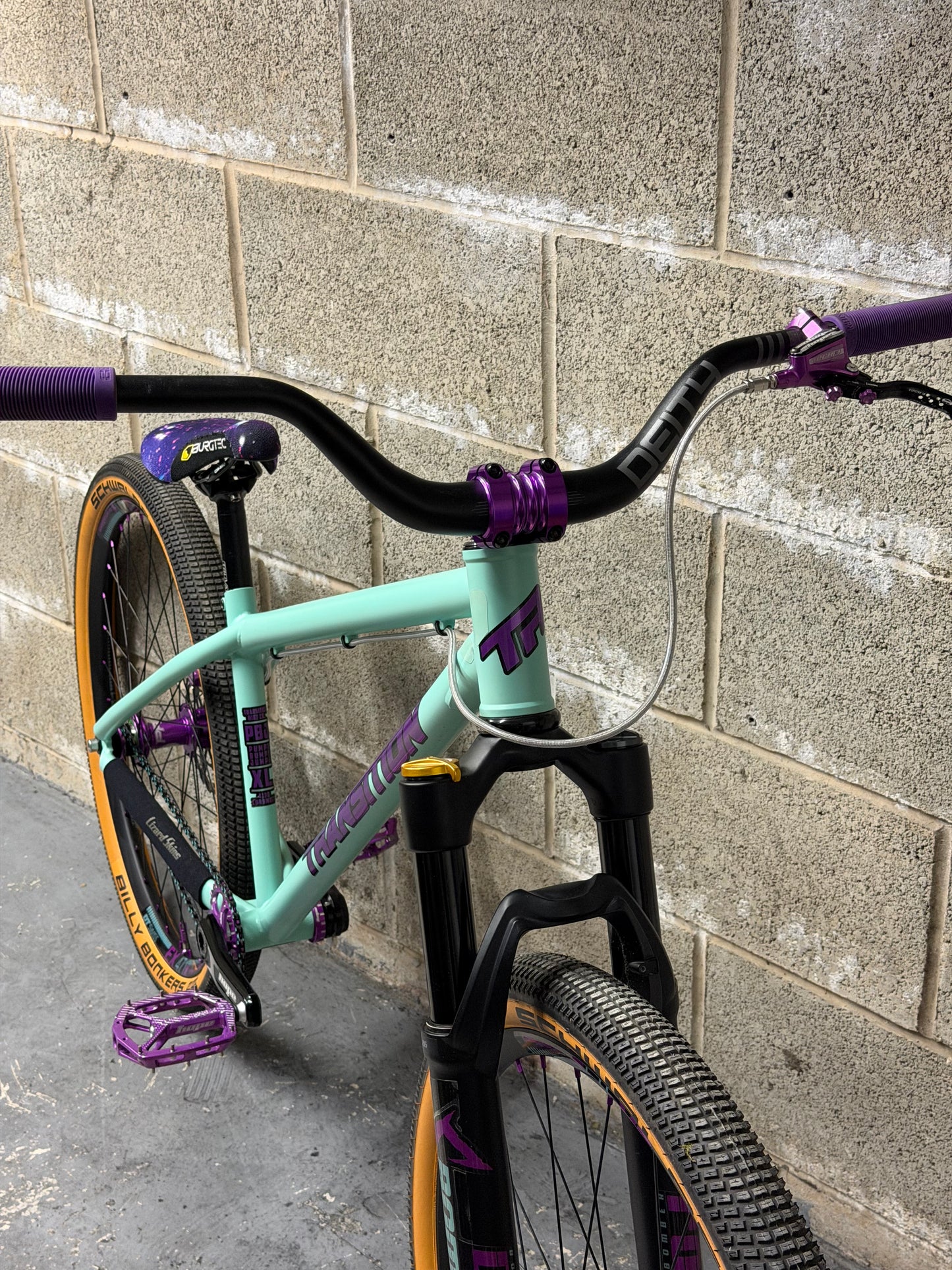 Transition PBJ Custom Dirt Jump Bike 26”