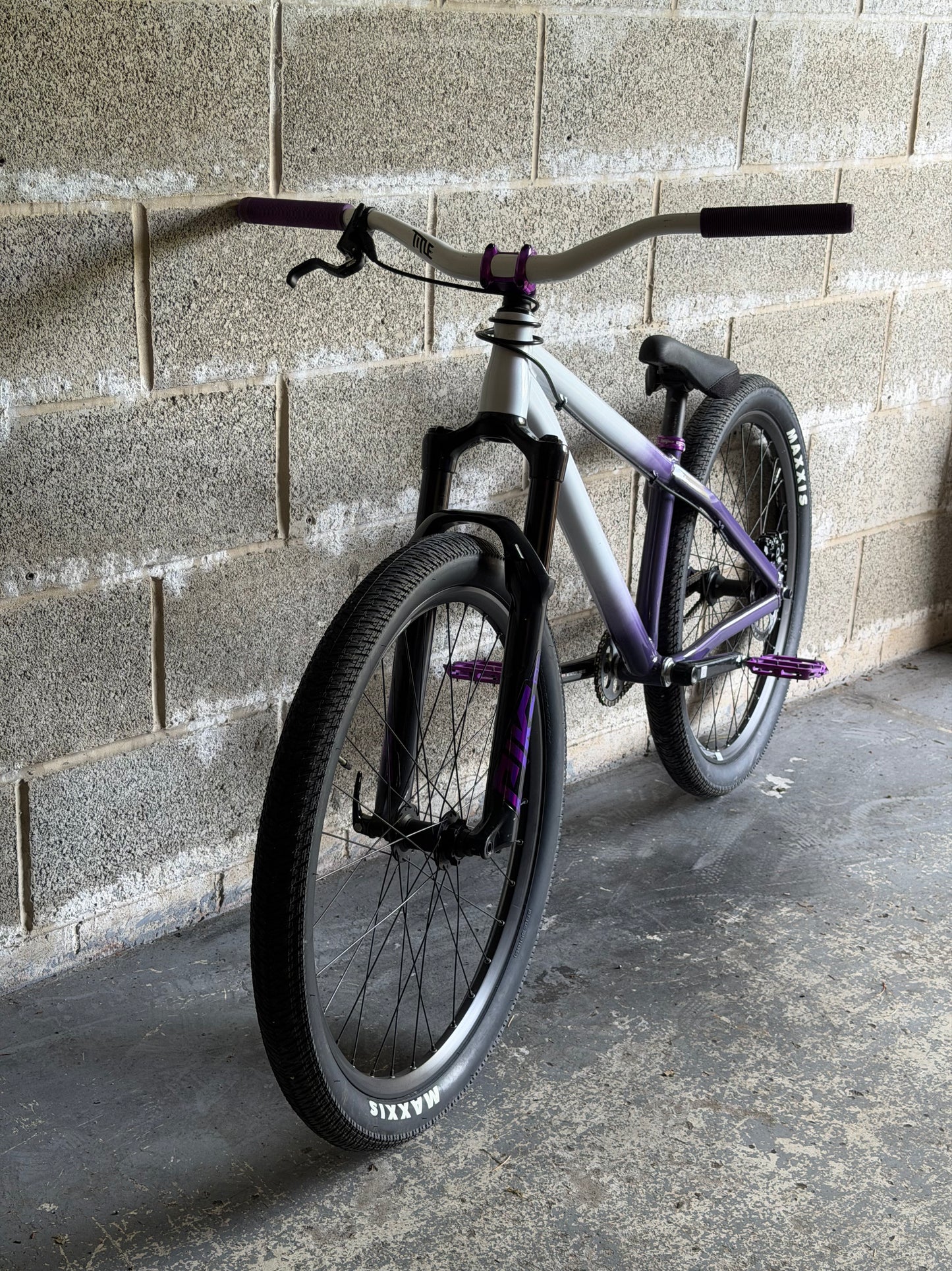 Custom Octane One Dirt Jump Bike 26”