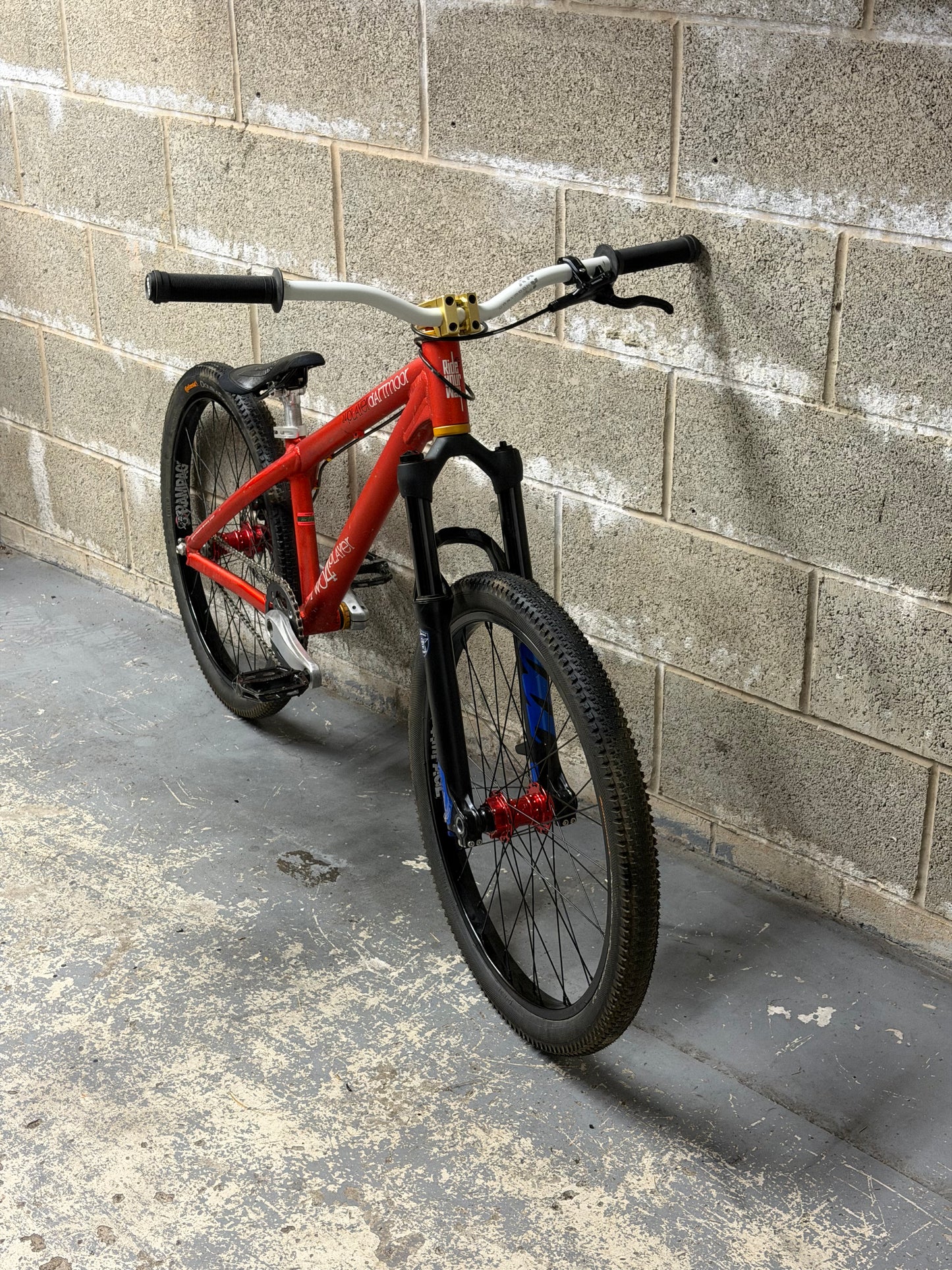 Custom Dartmoor Dirt Jump Bike 24”