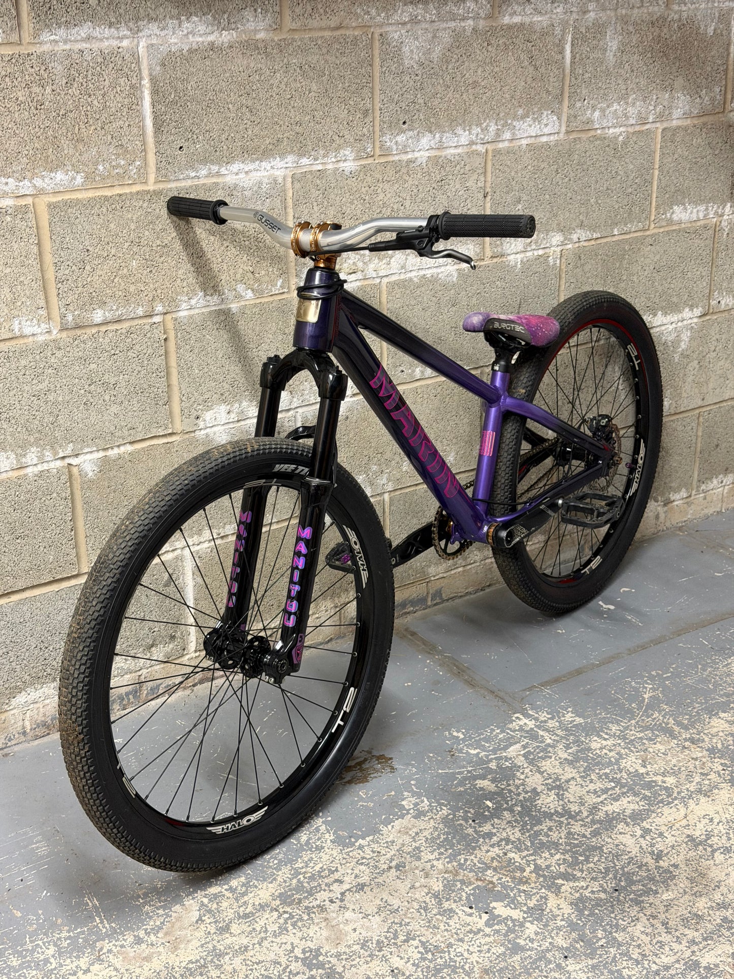 Custom Marin Alcatraz Dirt Jump Bike 26”