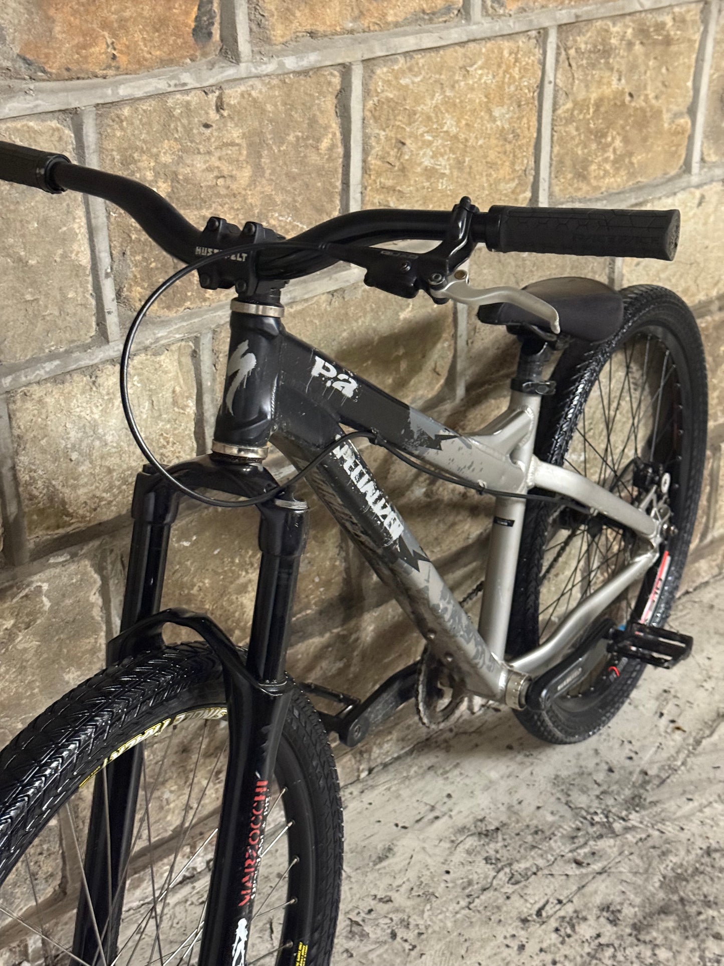 Custom Specialized Dirt Jump Bike 26”