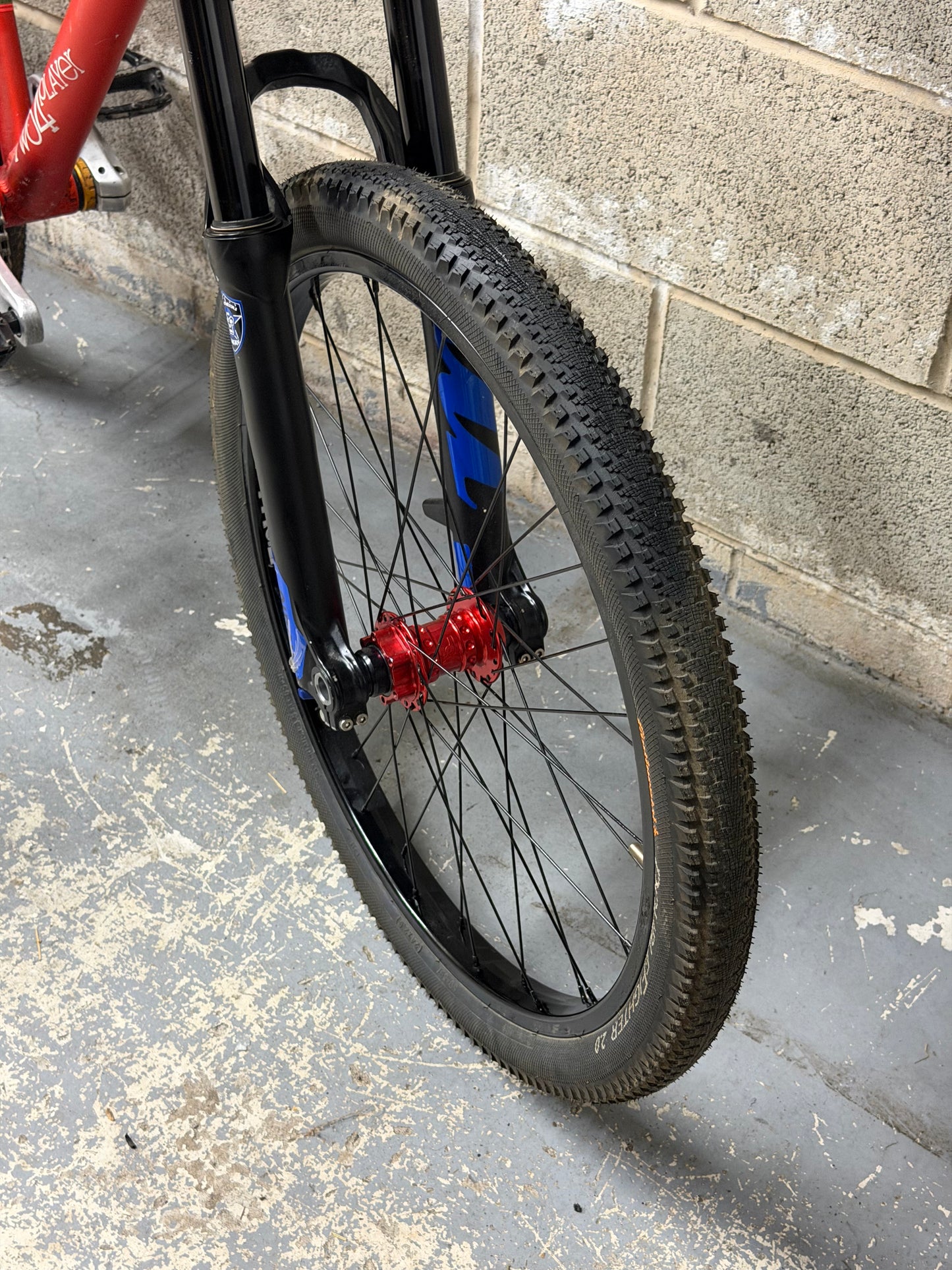 Custom Dartmoor Dirt Jump Bike 24”