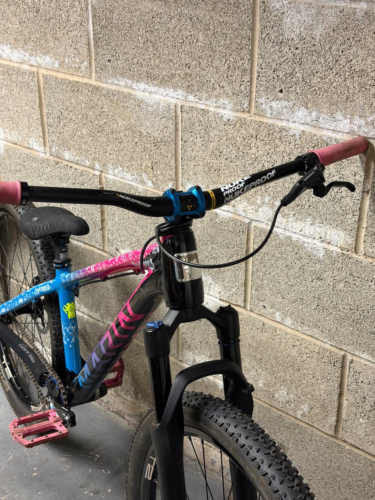 Custom Marin Alcatraz Dirt Jump Bike 26”