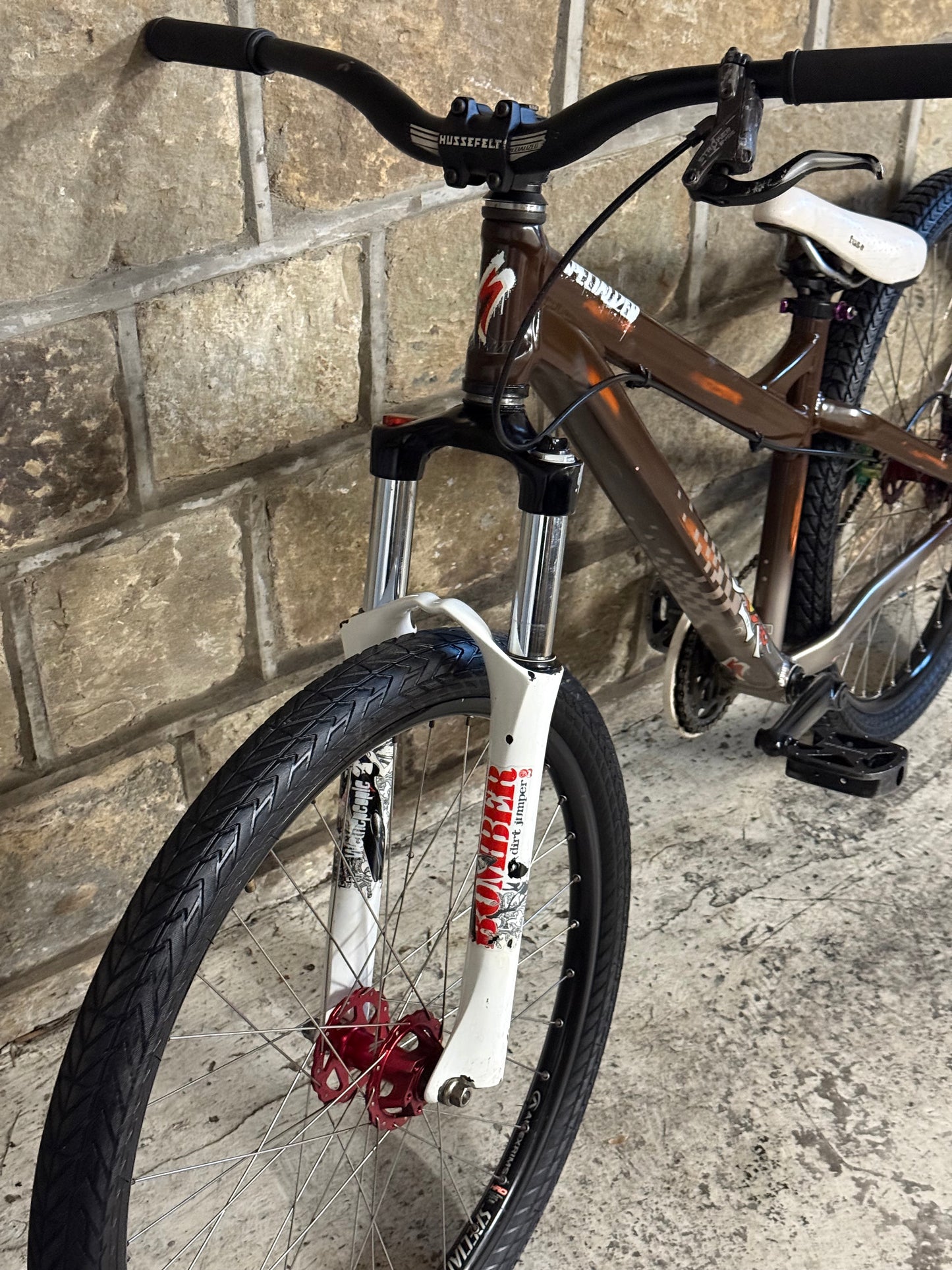 Custom Specialized Dirt Jump Bike 26”