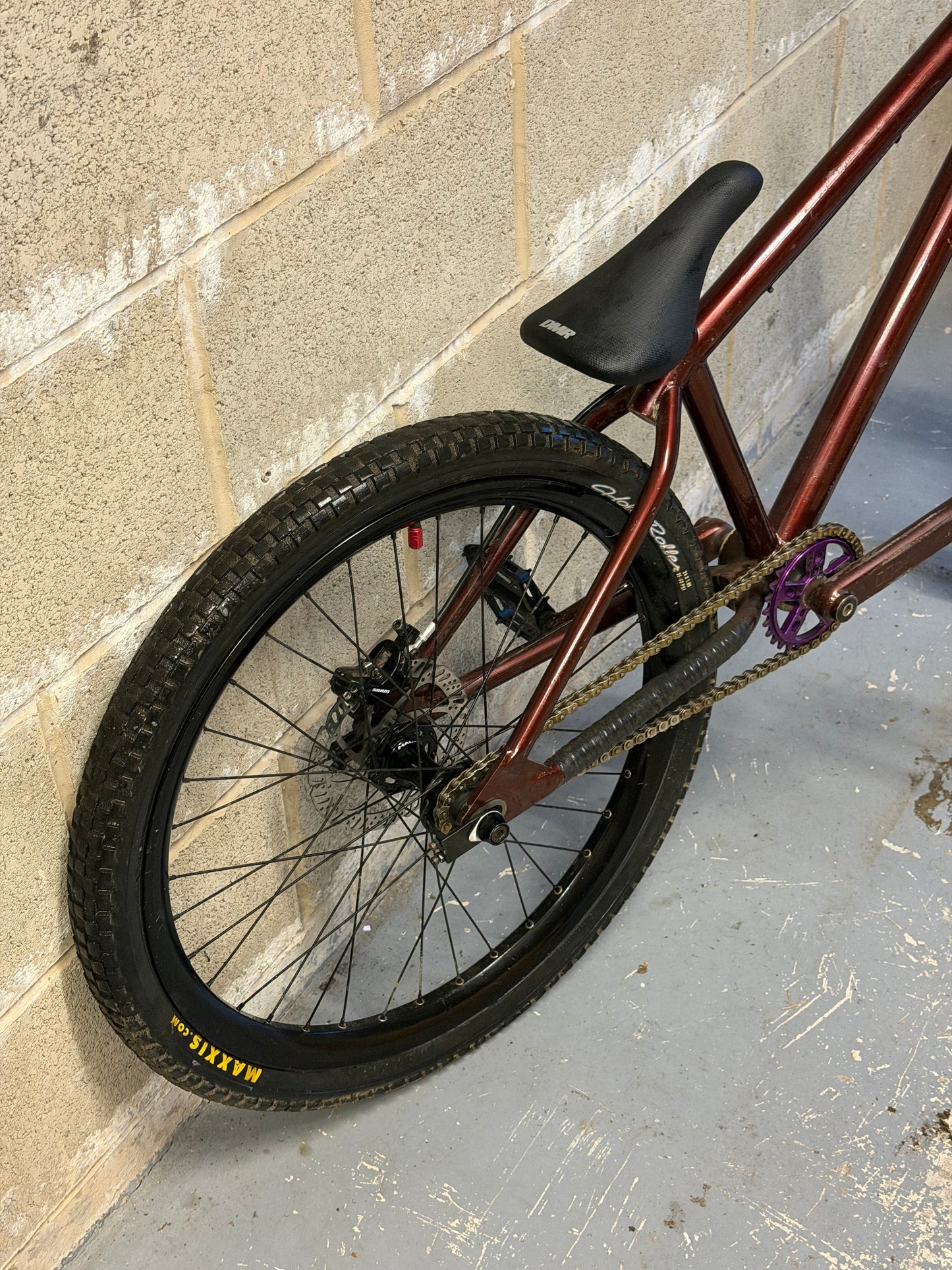 Custom Dirt Jump Bike 24”