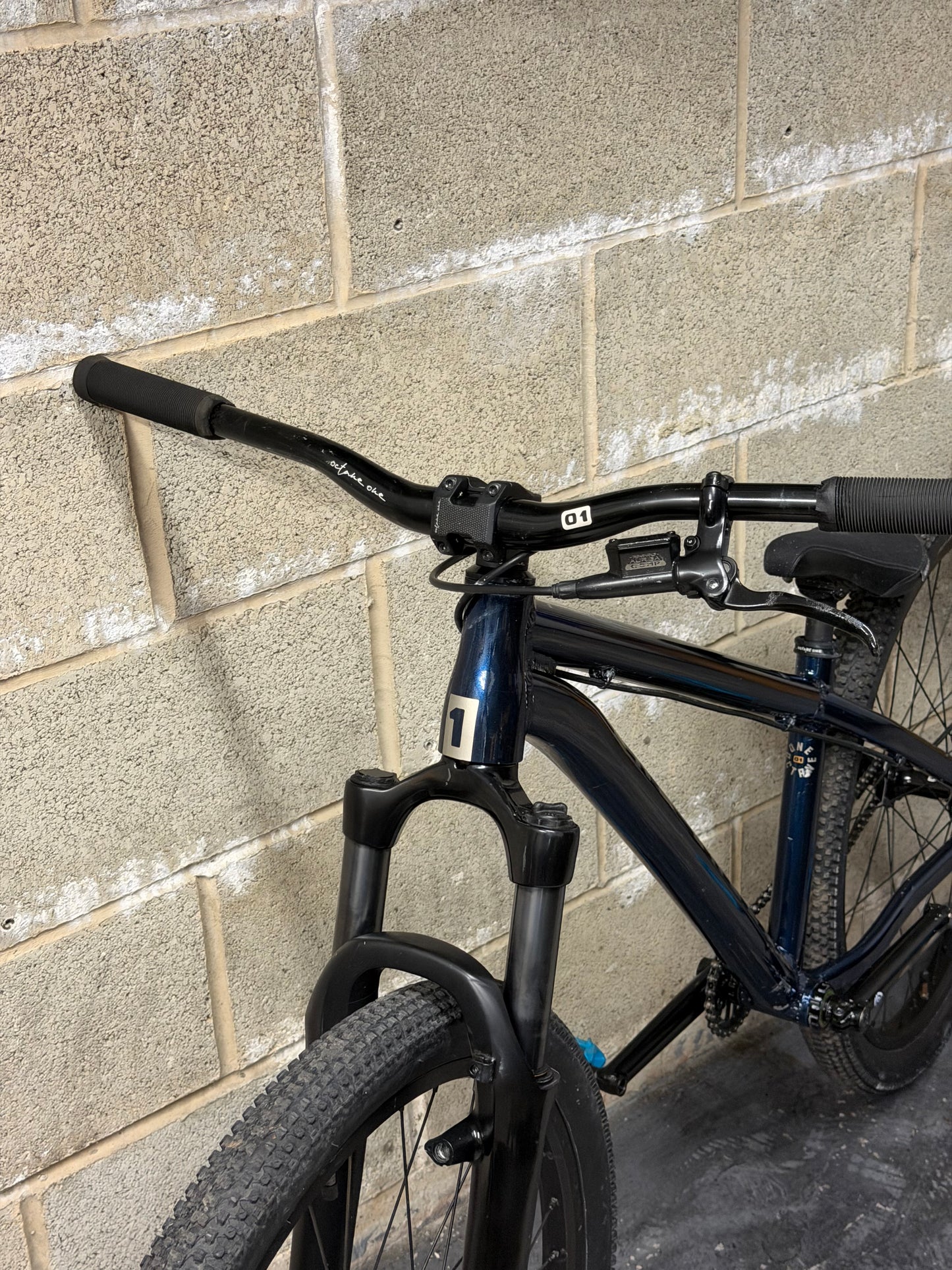 Custom Octane One Dirt Jump Bike 26”