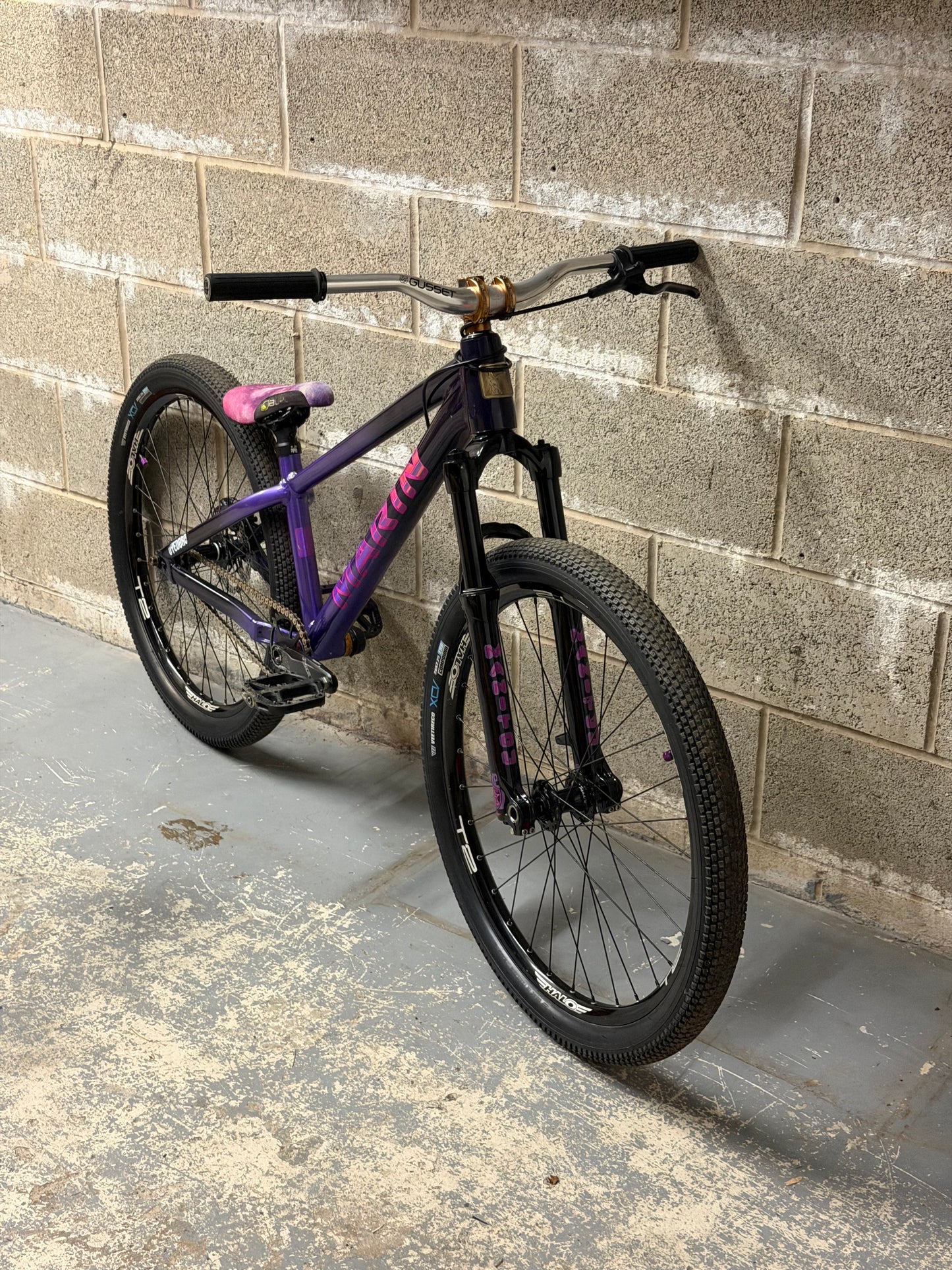 Custom Marin Alcatraz Dirt Jump Bike 26”