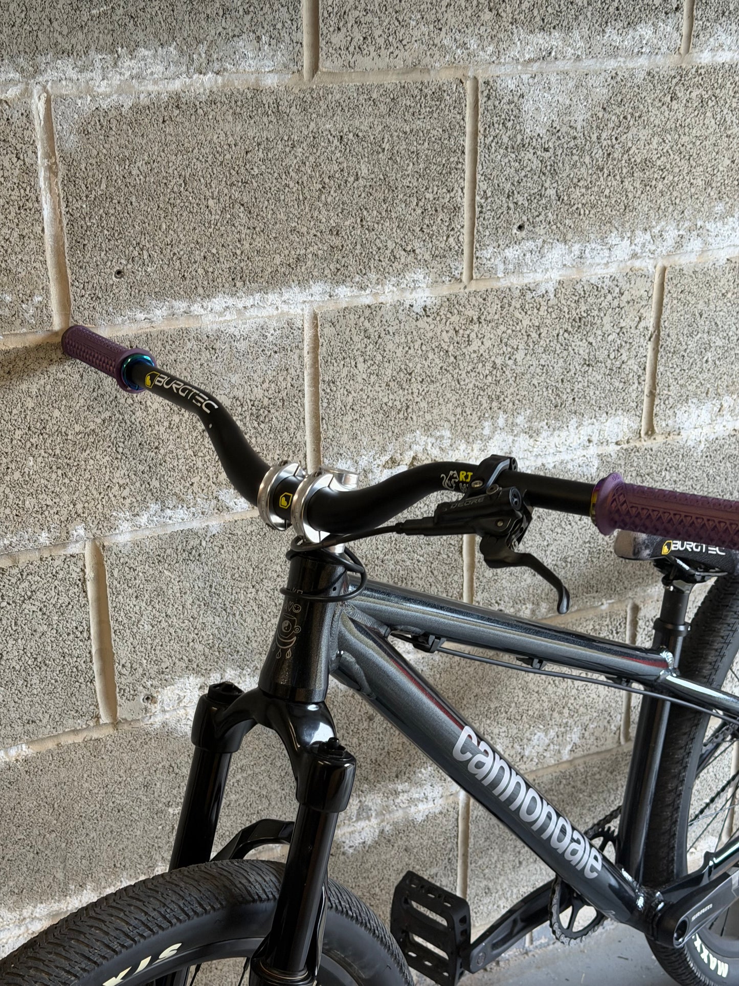Custom Cannondale Dave Dirt Jump Bike 26”