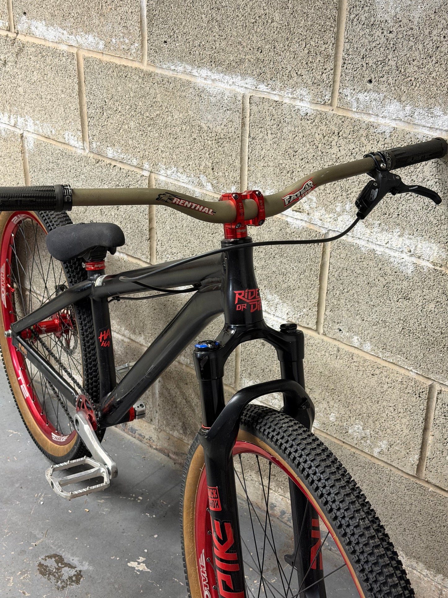 Custom NS Dirt Jump Bike 26”