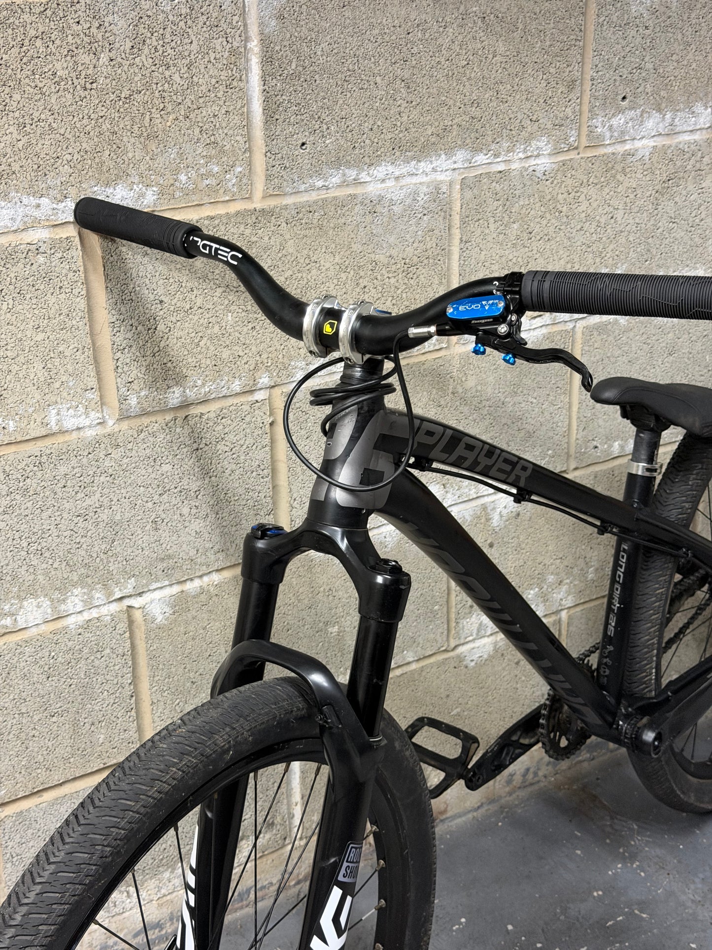 Custom Dartmoor Dirt Jump Bike 26”