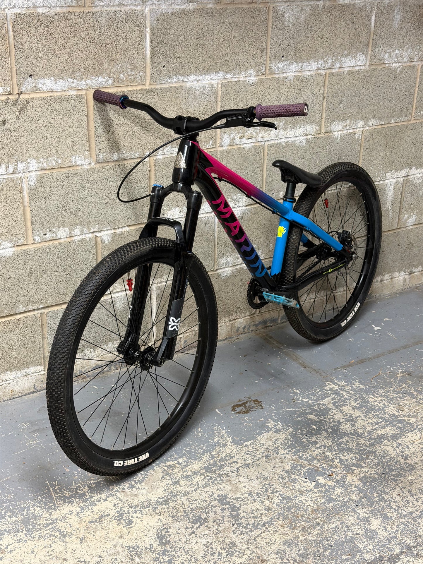 Custom Marin Alcatraz Dirt Jump Bike 26”