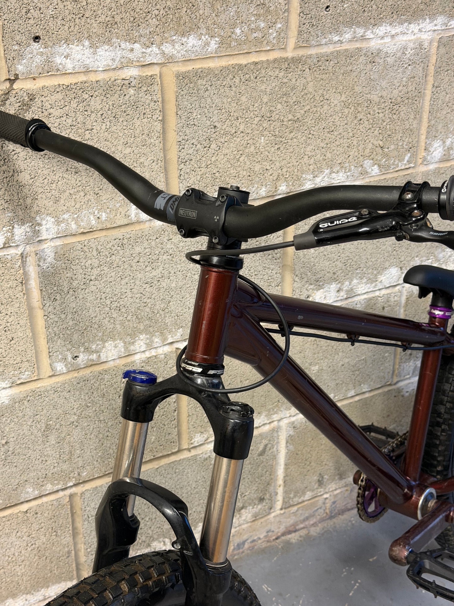 Custom Dirt Jump Bike 24”