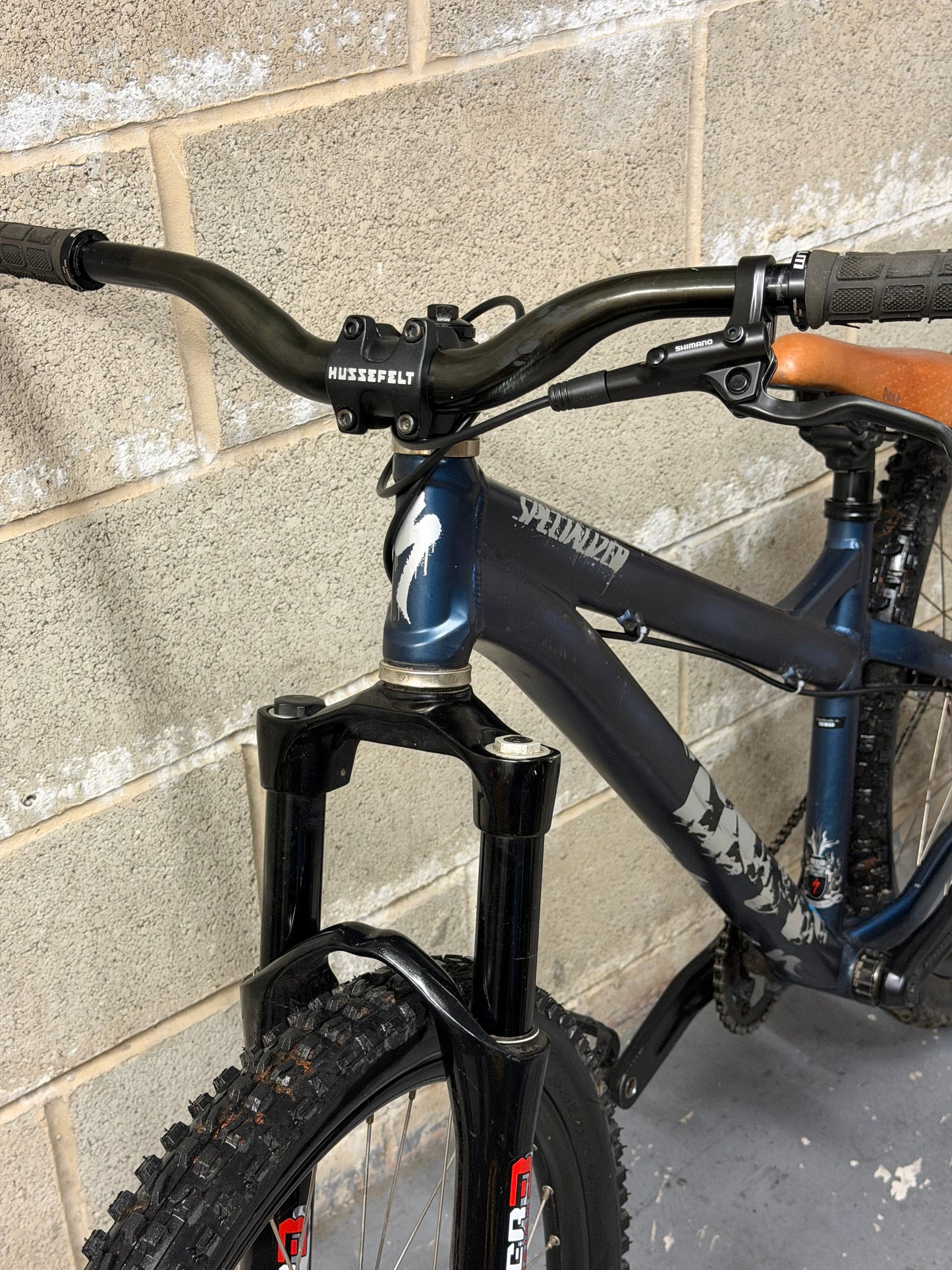Custom Specialized Dirt Jump Bike 26”