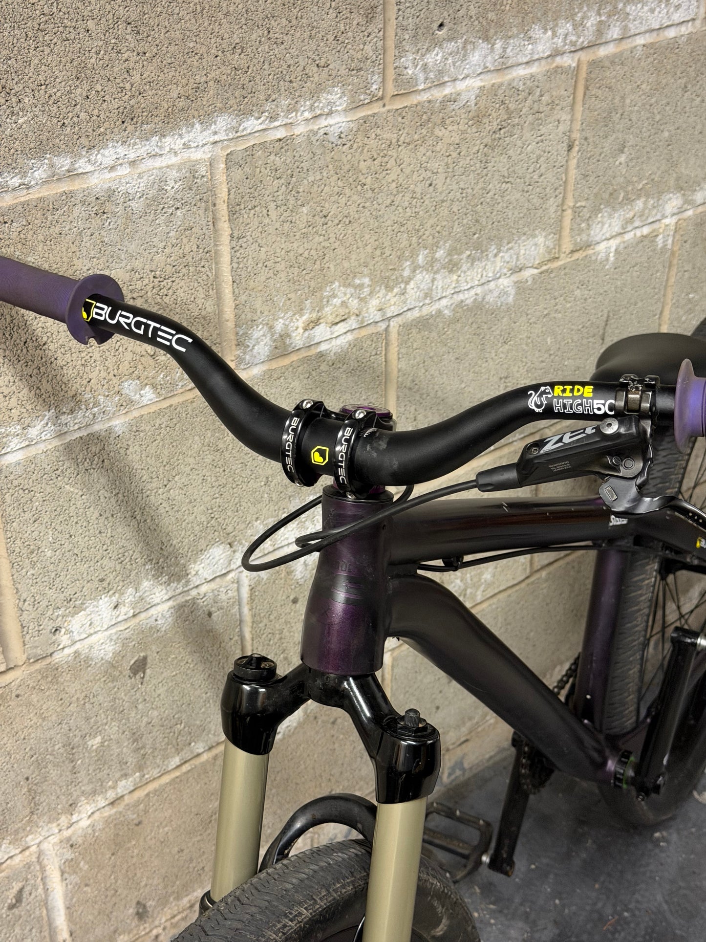 Custom NS Decade V2 Dirt Jump Bike 26”