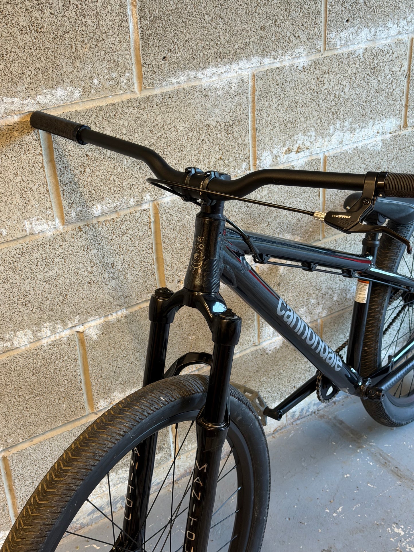 Custom Cannondale Dave Dirt Jump Bike 26”